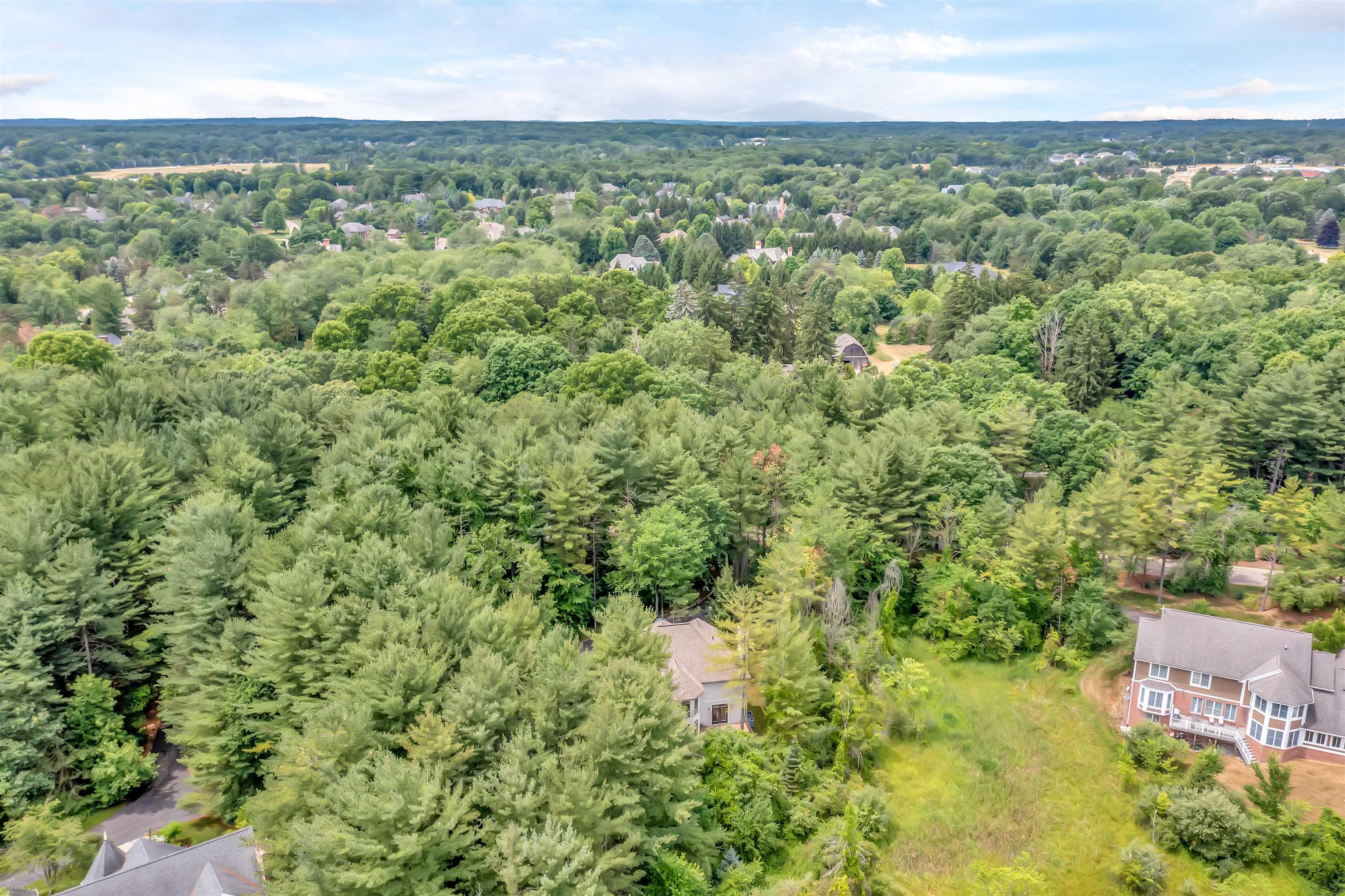 7949 Bridge Valley Drive Village Of Clarkston City MI 48348
