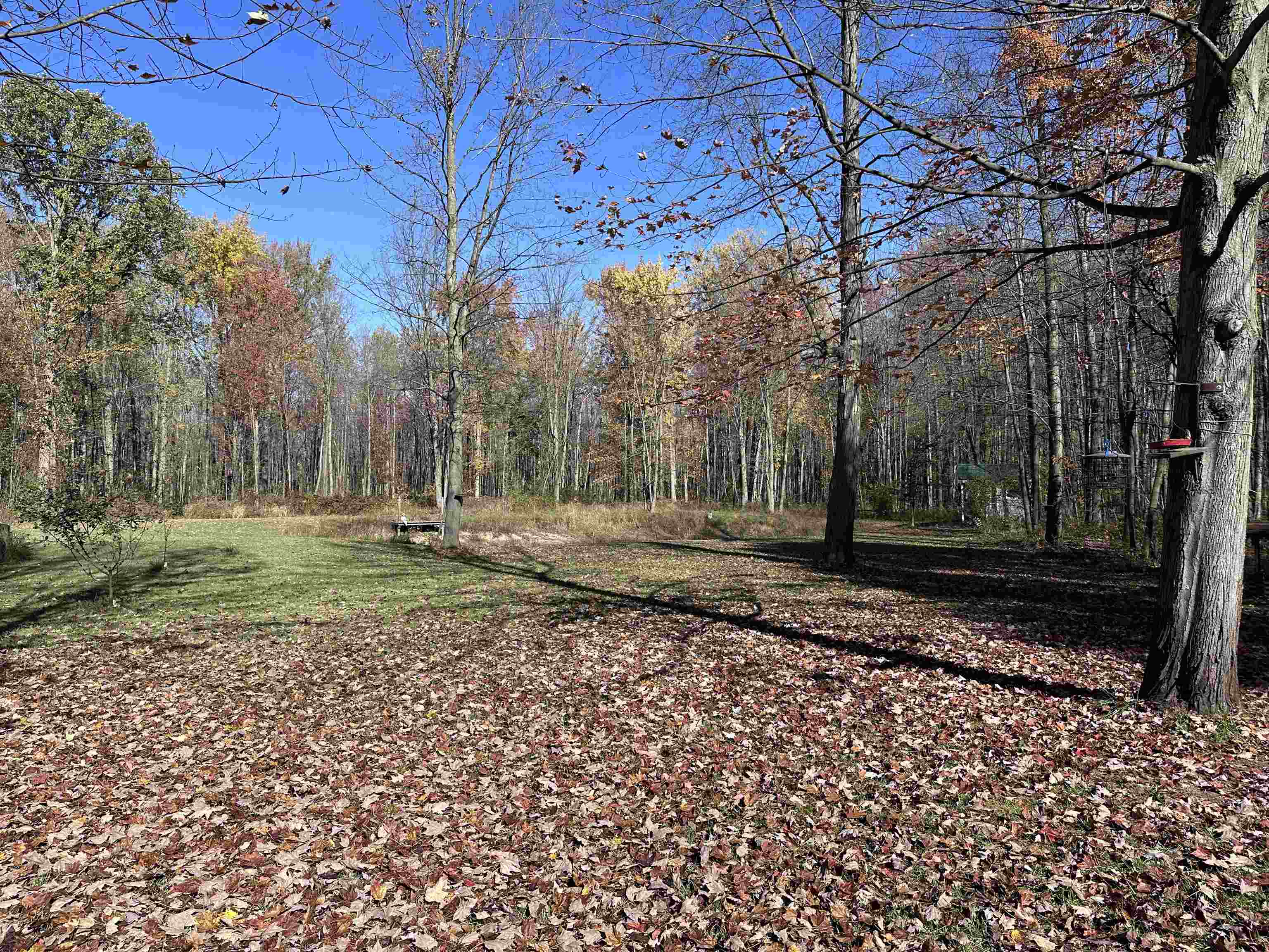 4350 W Laporte Road Jasper Township MI 48880