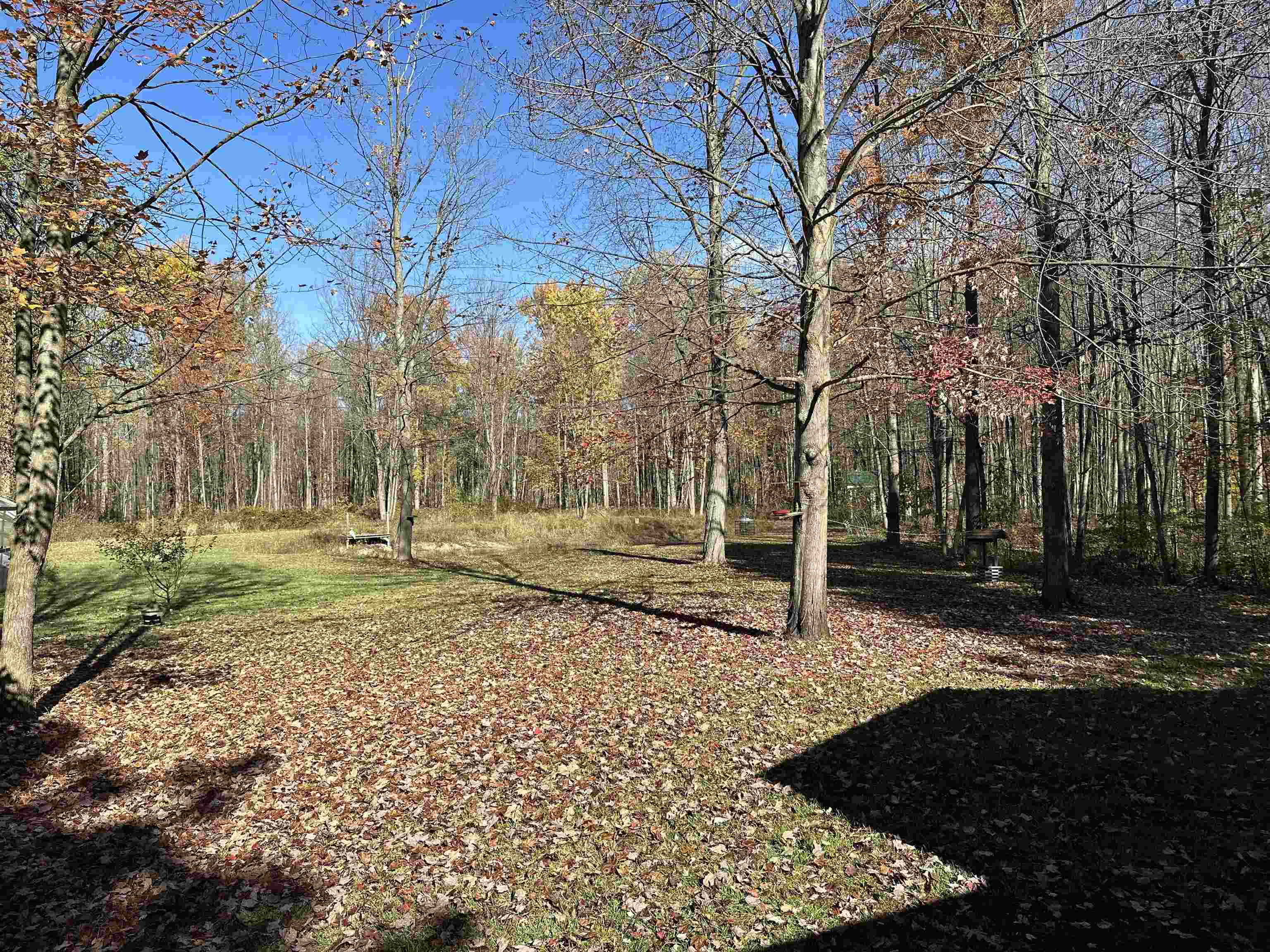 4350 W Laporte Road Jasper Township MI 48880
