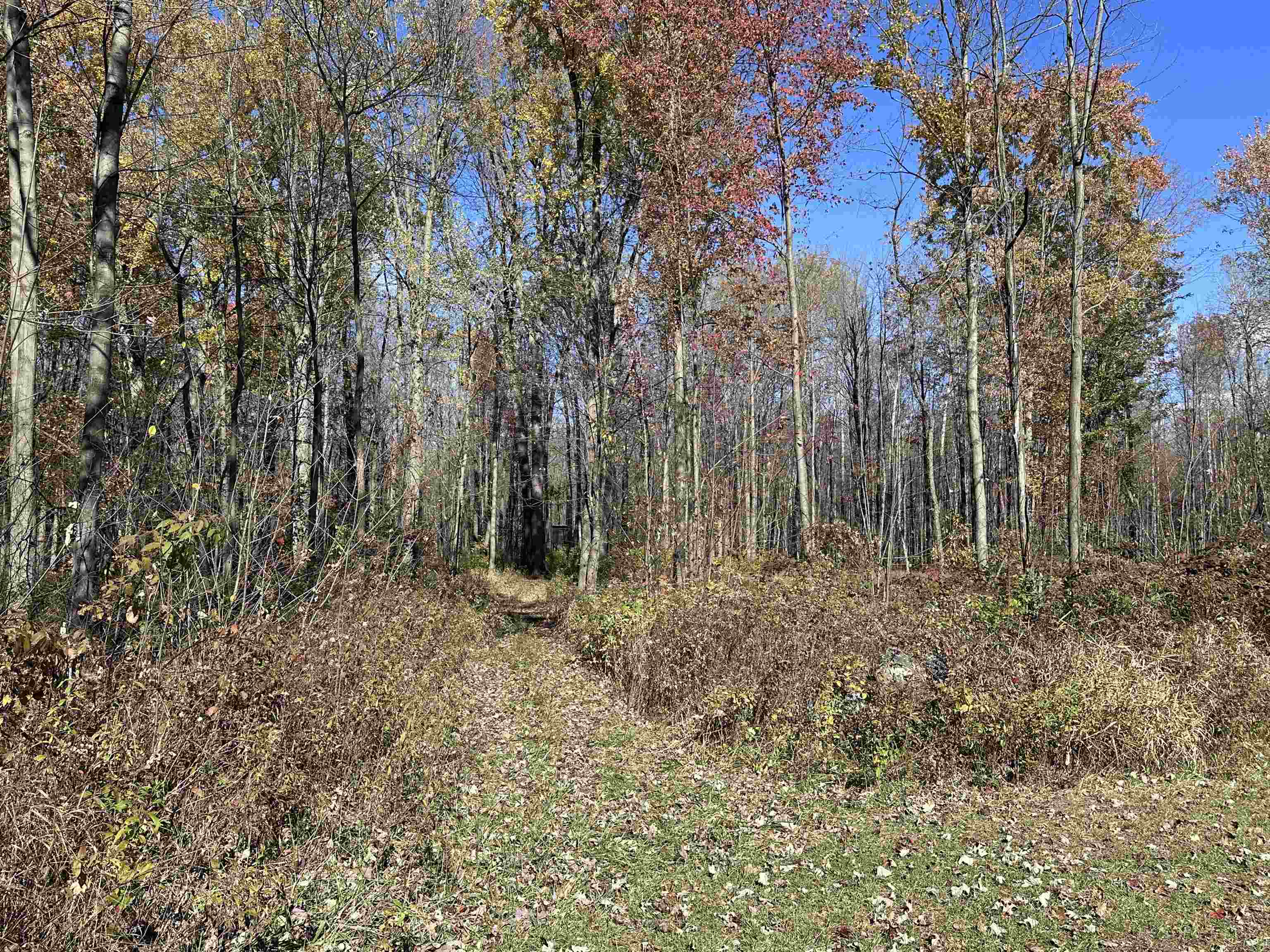 4350 W Laporte Road Jasper Township MI 48880