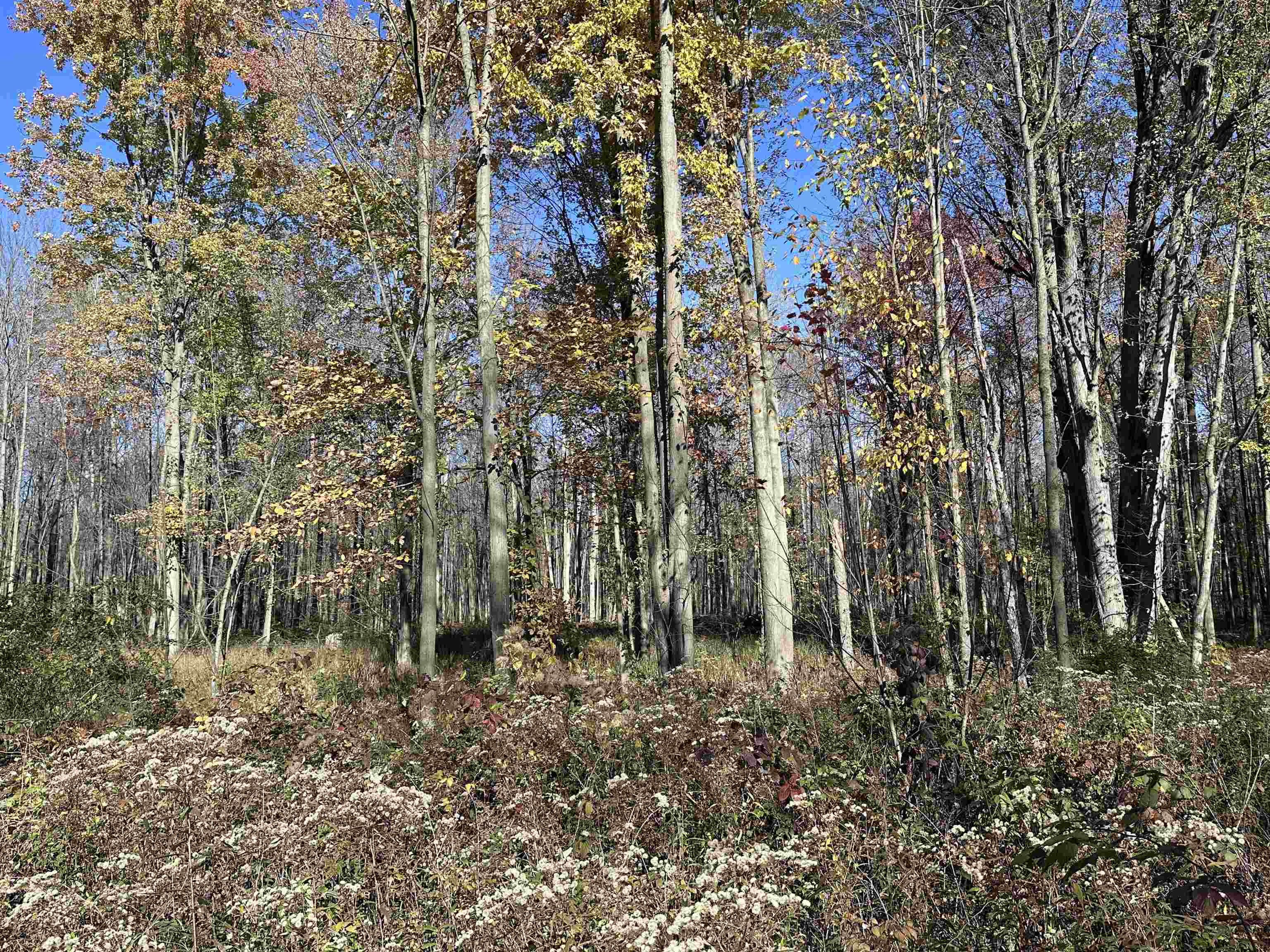 4350 W Laporte Road Jasper Township MI 48880