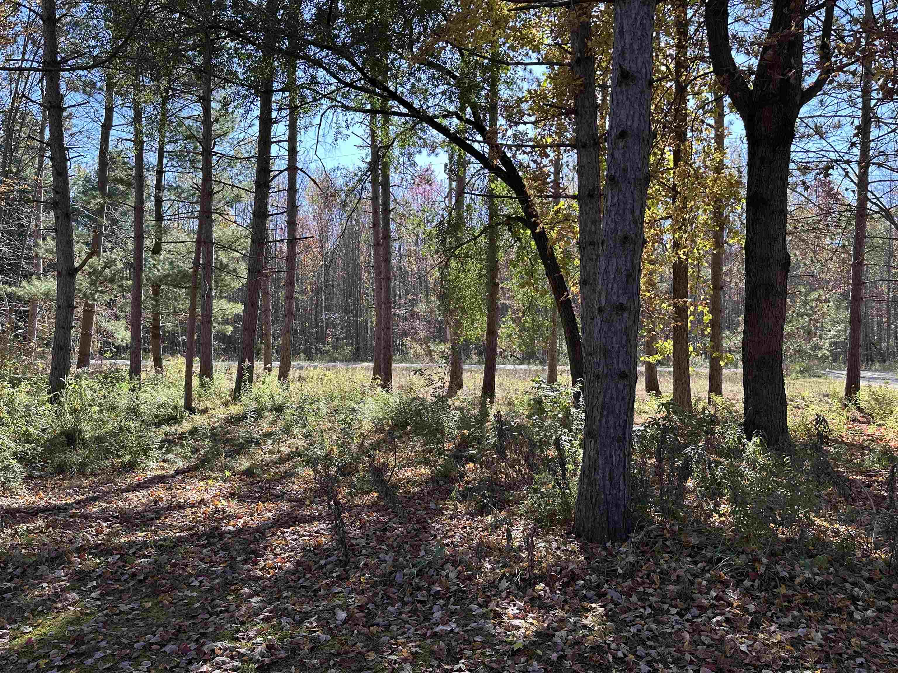 4350 W Laporte Road Jasper Township MI 48880