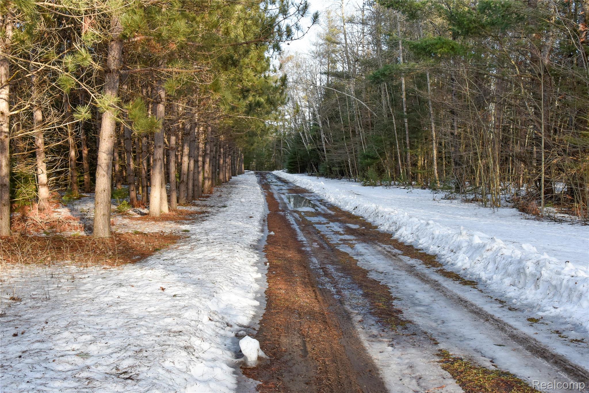 1094 Blamer Road Comins Township MI 48621