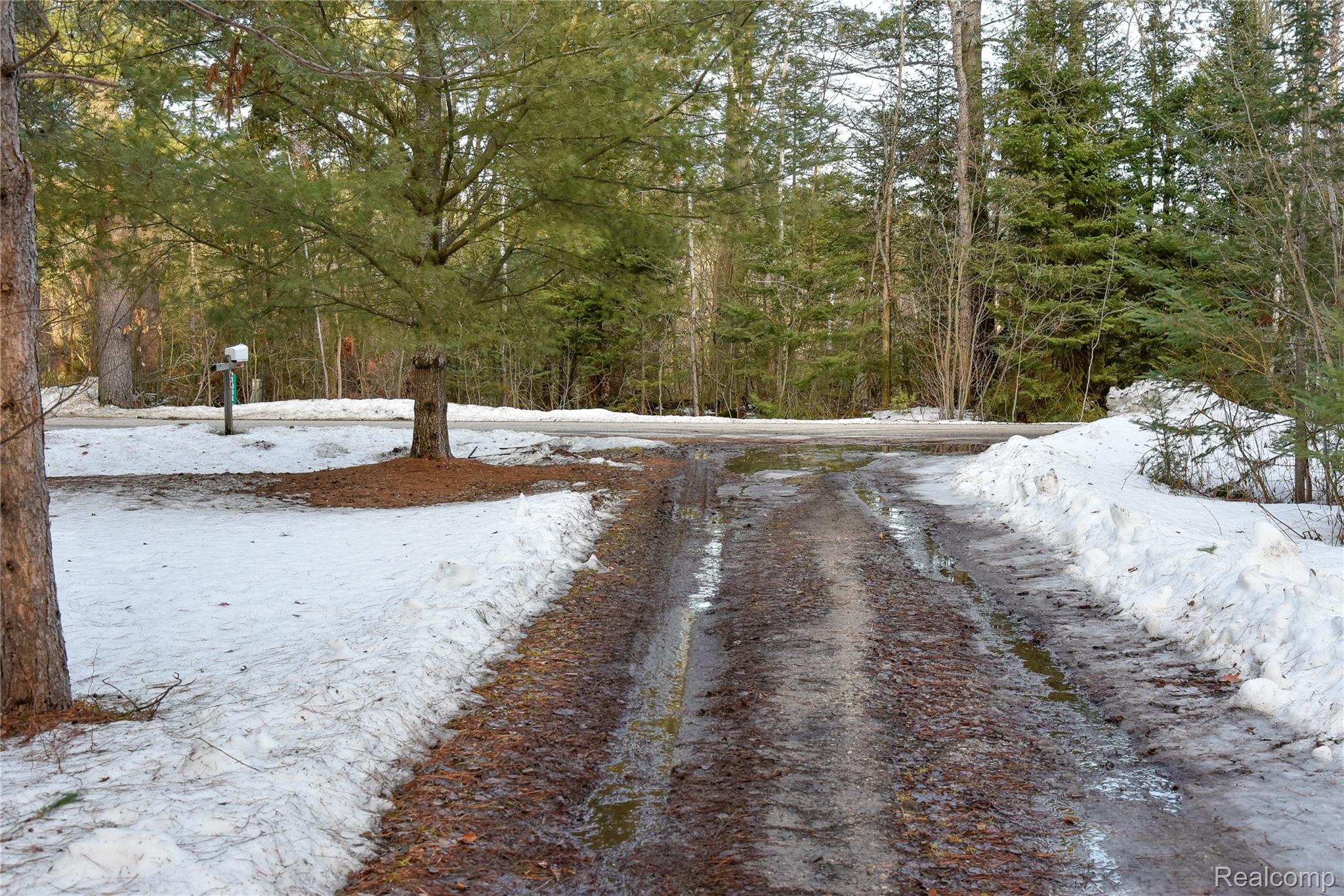 1094 Blamer Road Comins Township MI 48621