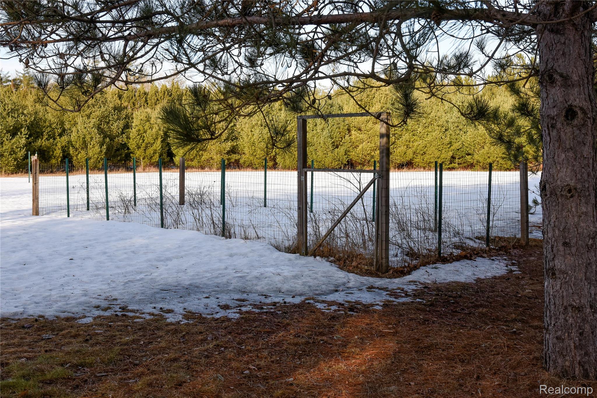 1094 Blamer Road Comins Township MI 48621
