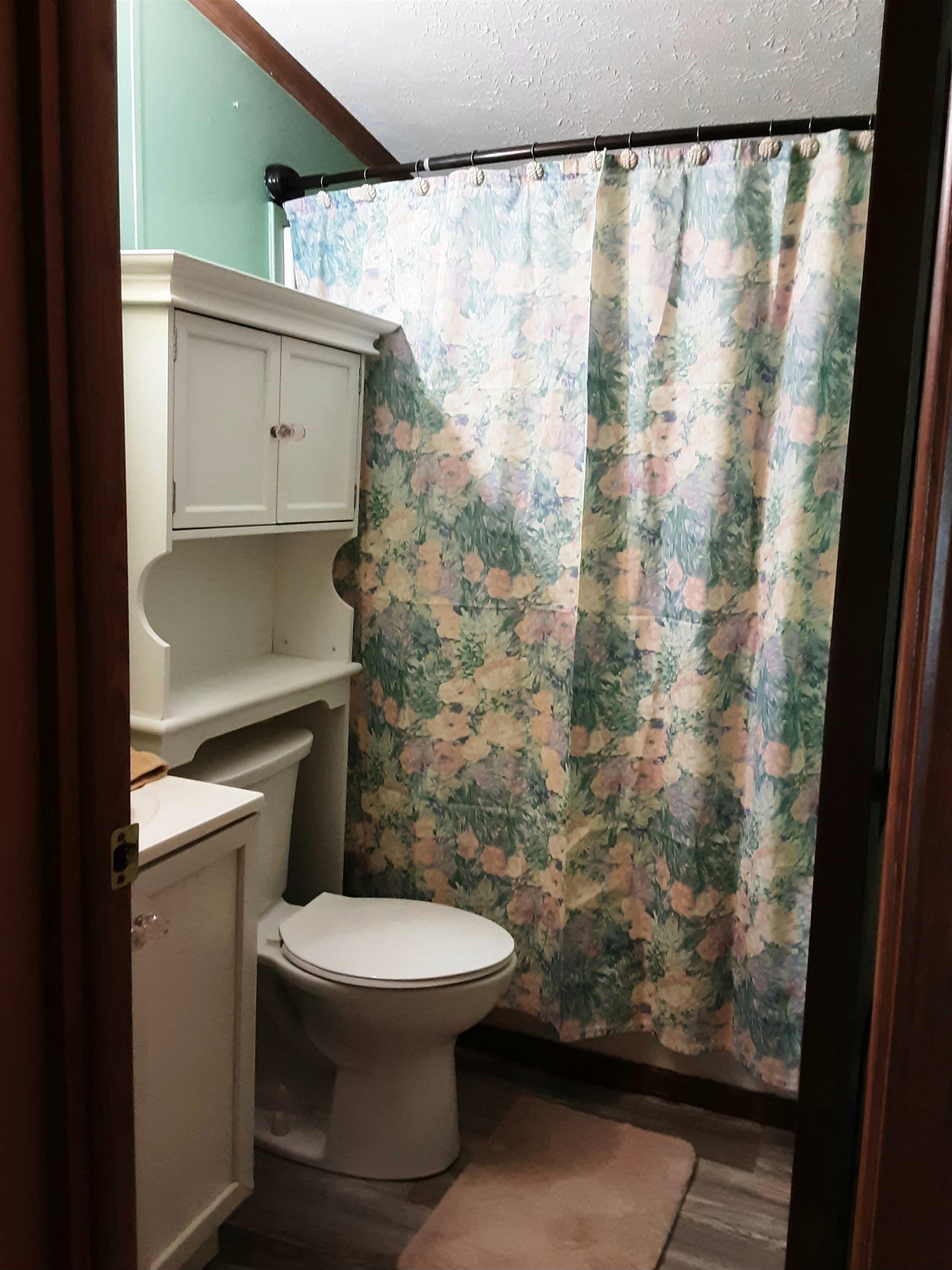 2404 Wilber Road Wilber Township MI 48730