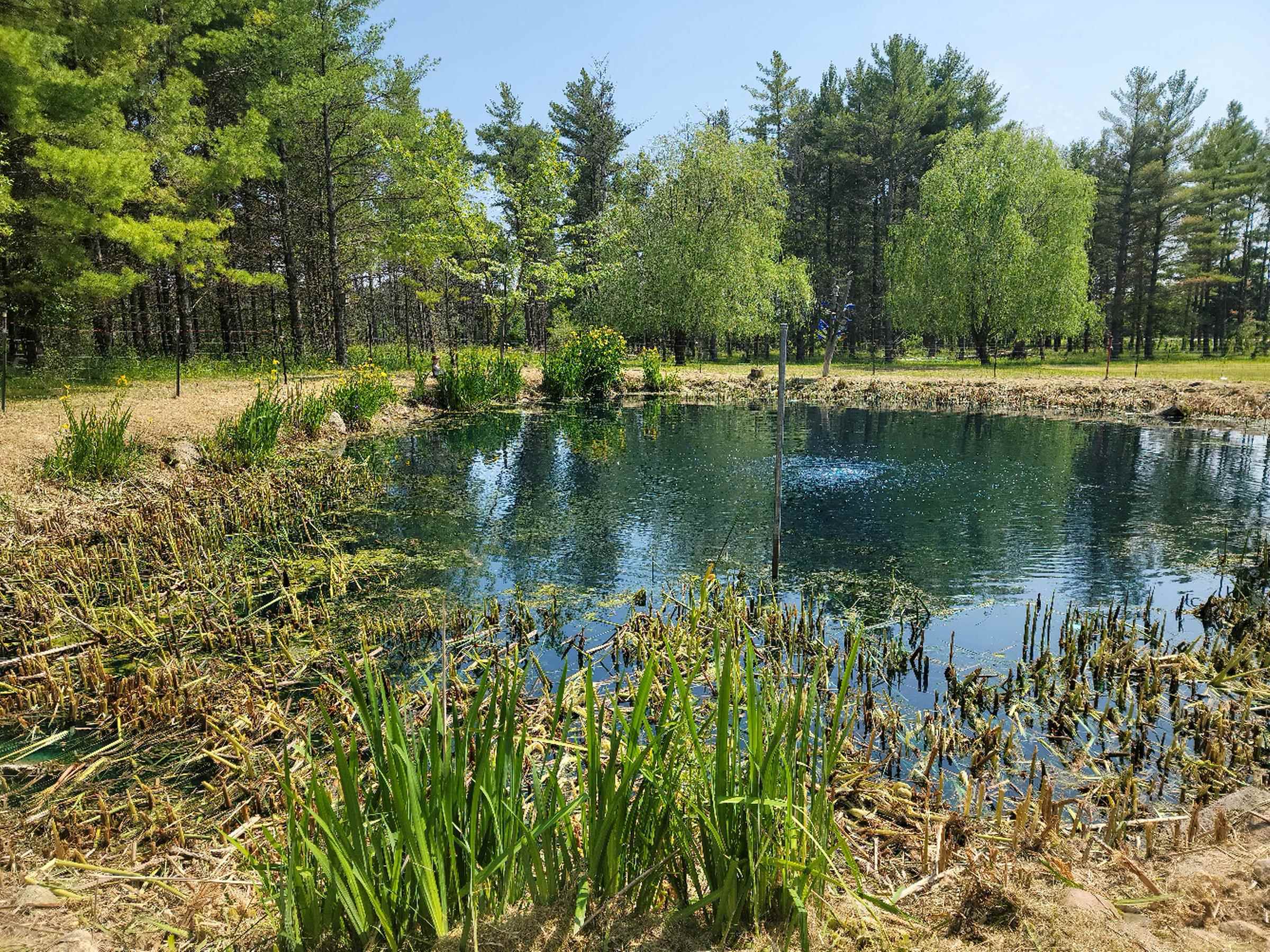 2404 Wilber Road Wilber Township MI 48730