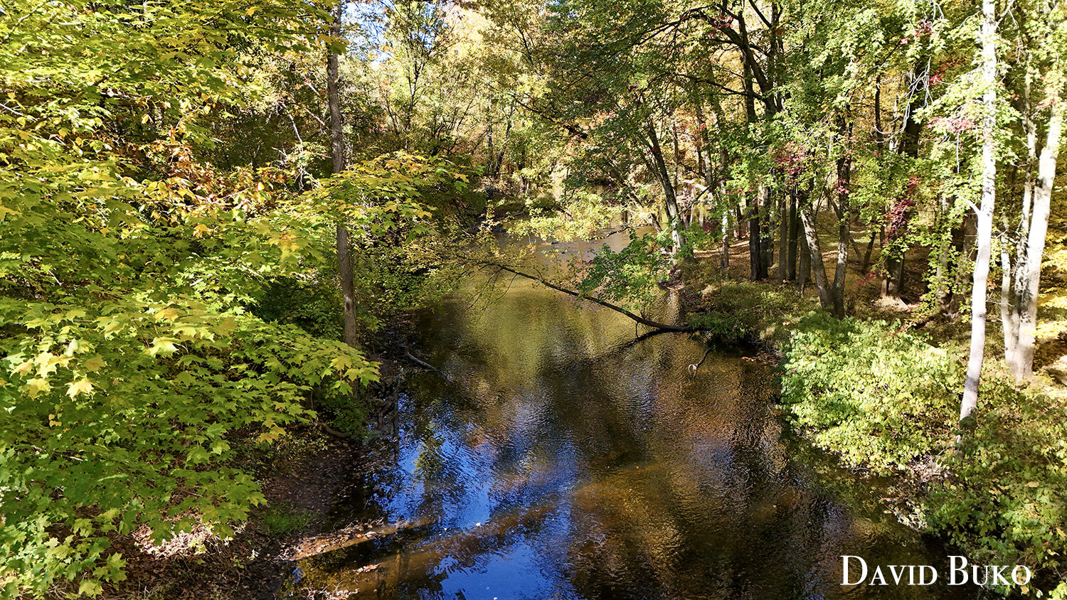 1875 11 Mile Road NE Algoma Township MI 49321