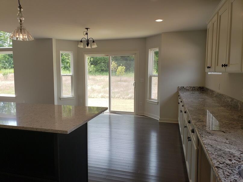 11780 Hillside Drive Dexter Township MI 48130