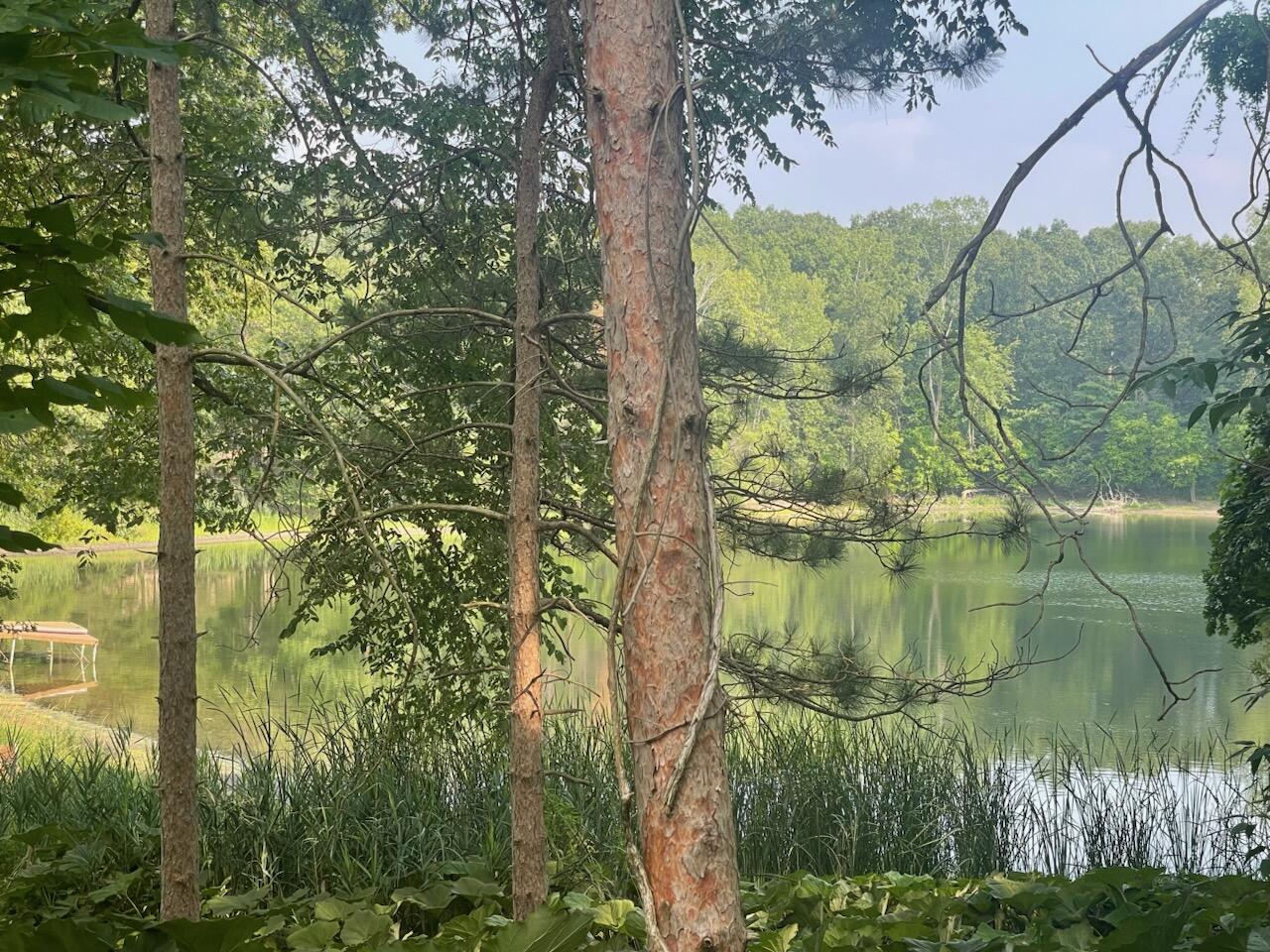 8050 Wilderness Trail NE Ada Township MI 49301