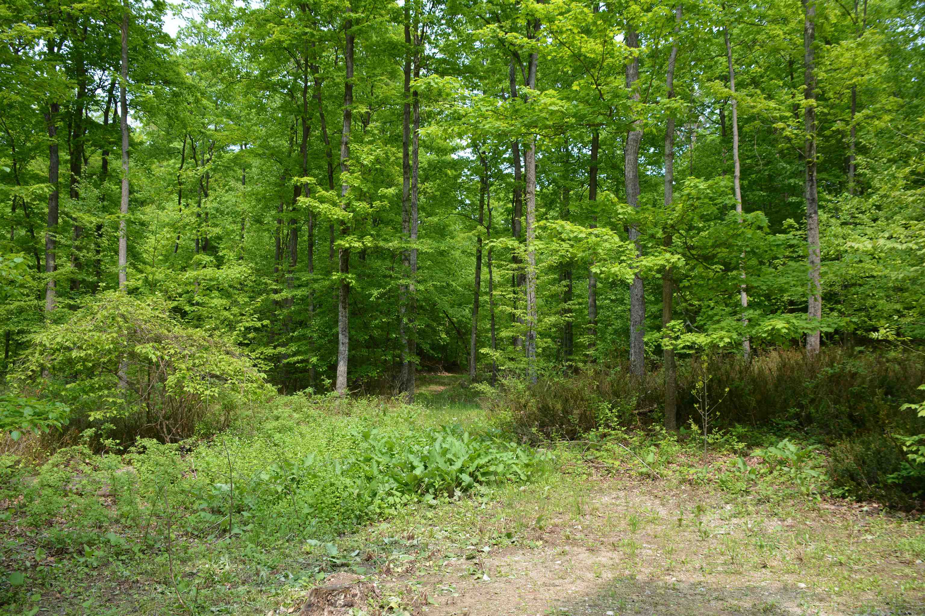 2481 S Schomberg Road Centerville Township MI 49653