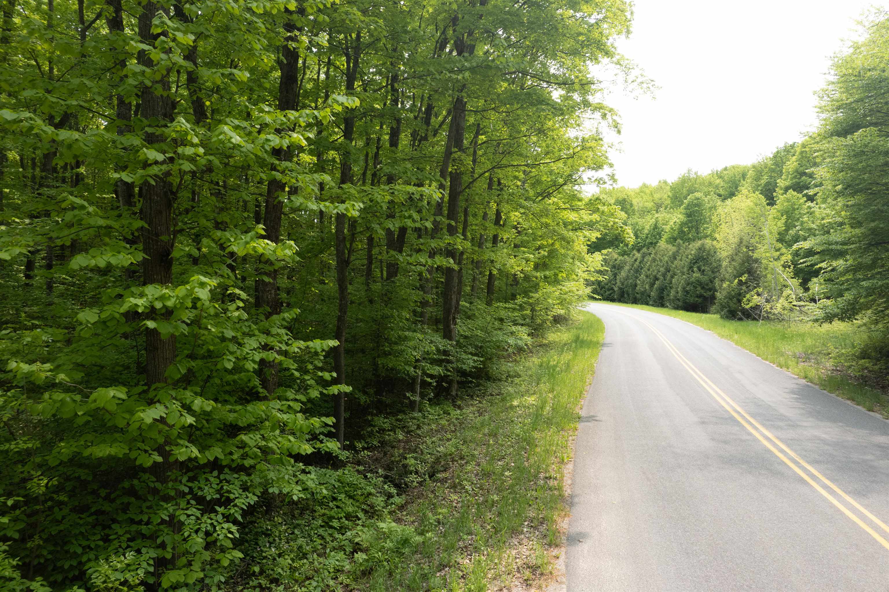 2481 S Schomberg Road Centerville Township MI 49653