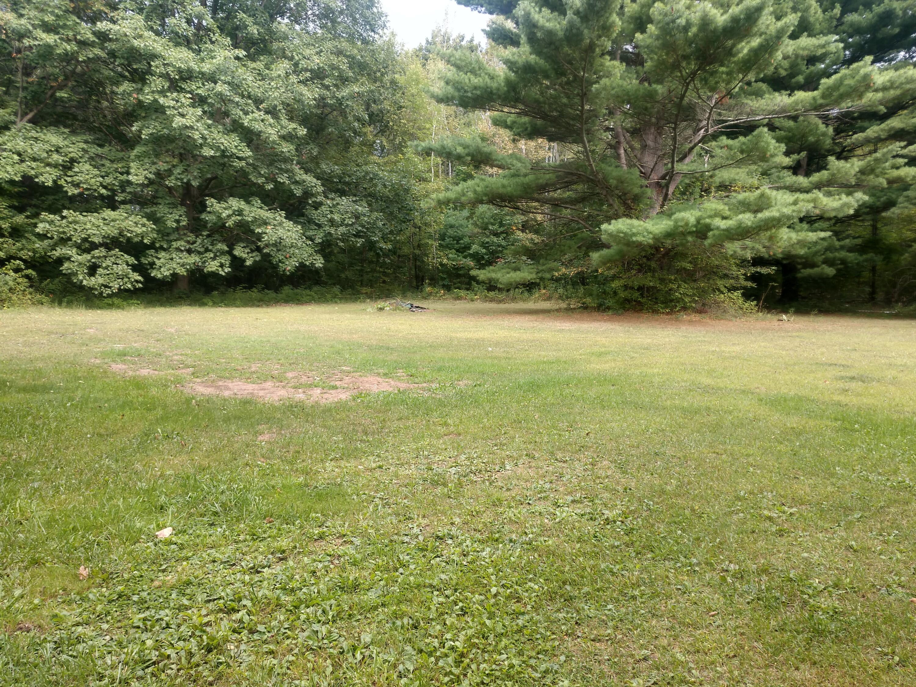 8653 E Remus Road Chippewa Township MI 48858