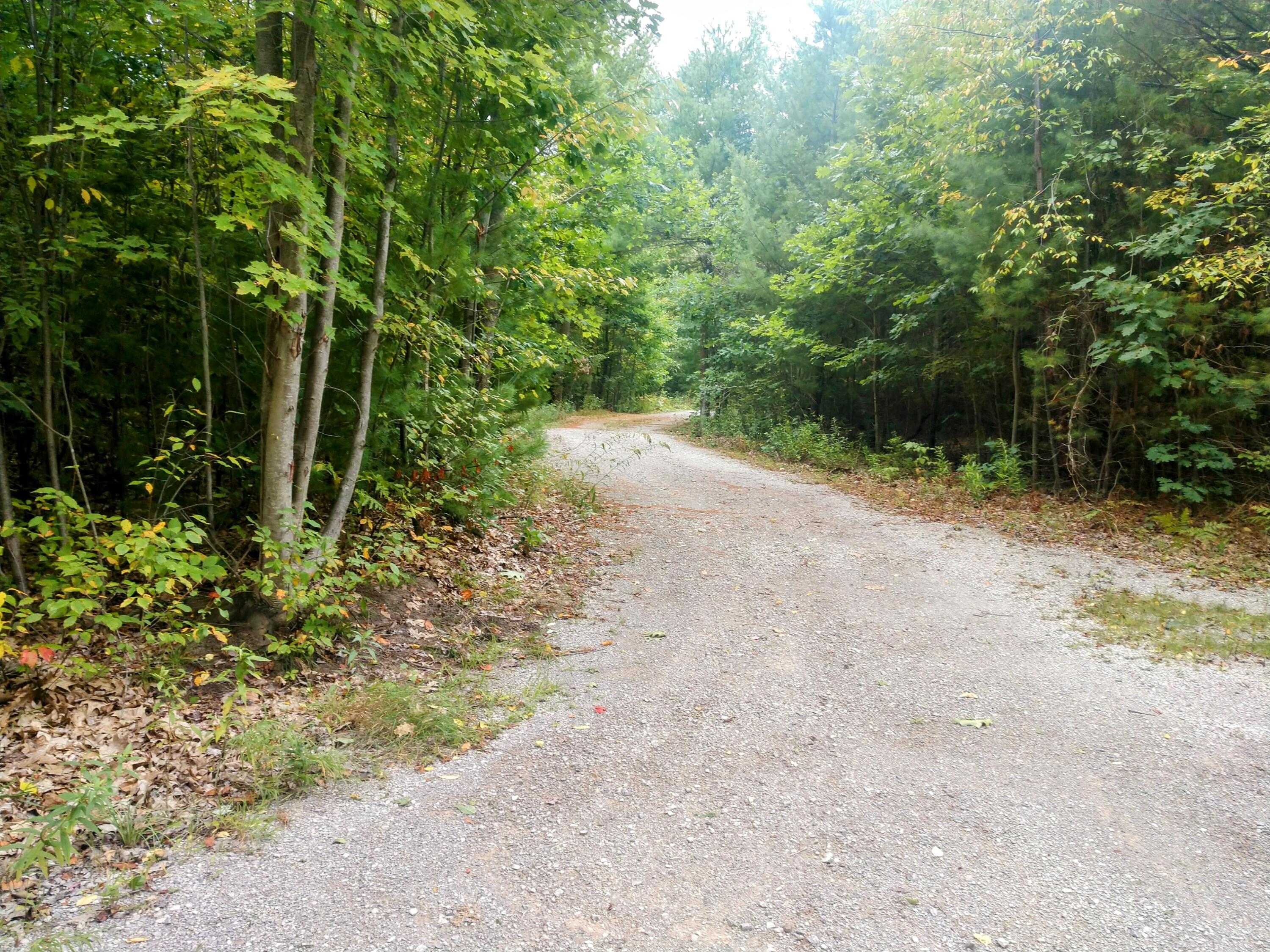 8653 E Remus Road Chippewa Township MI 48858