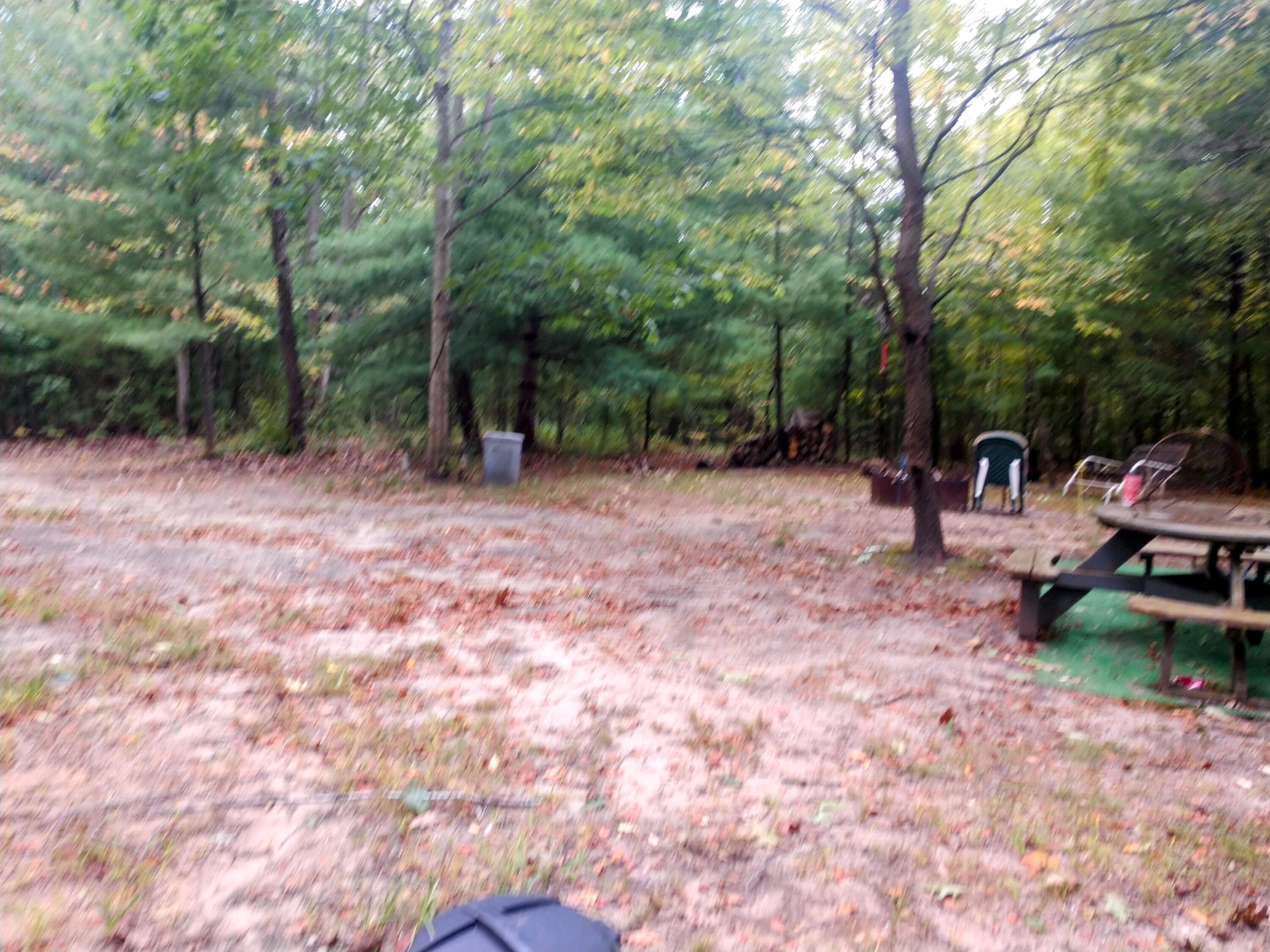 8653 E Remus Road Chippewa Township MI 48858