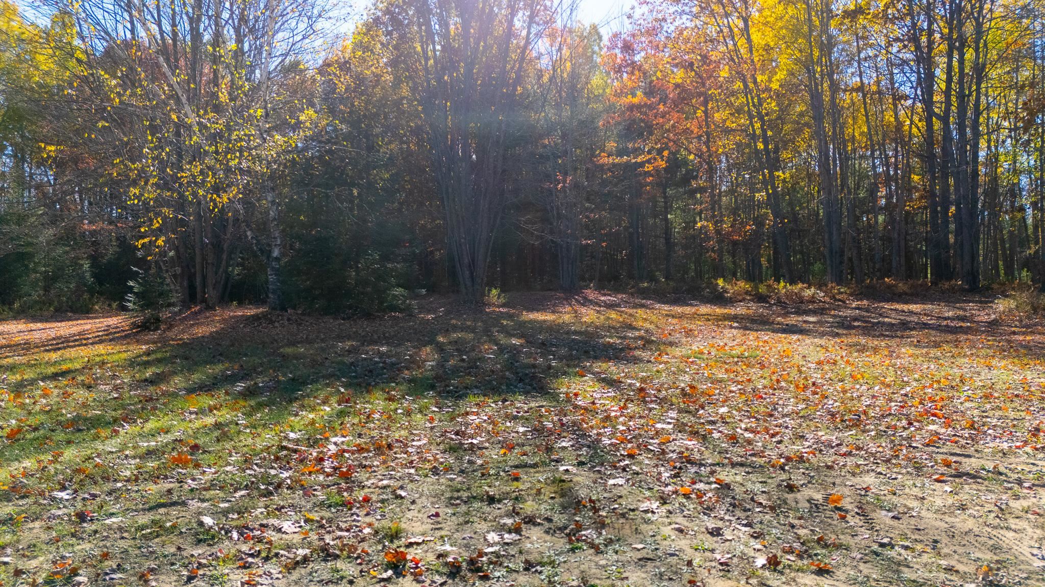 2385 W Houghton Lake Drive Denton Township MI 48629