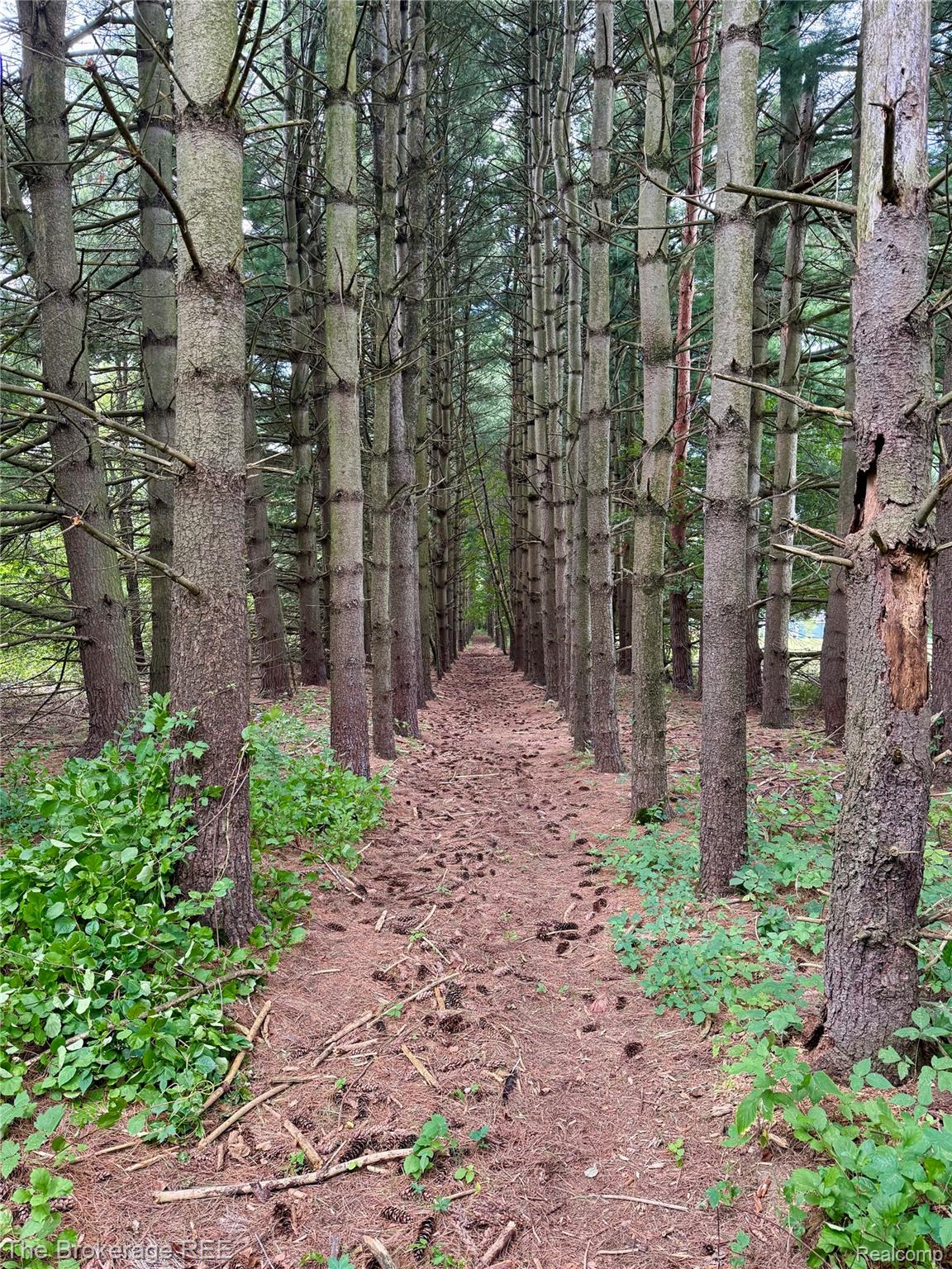 12088 Pinebrook Lane Green Oak Township MI 48178