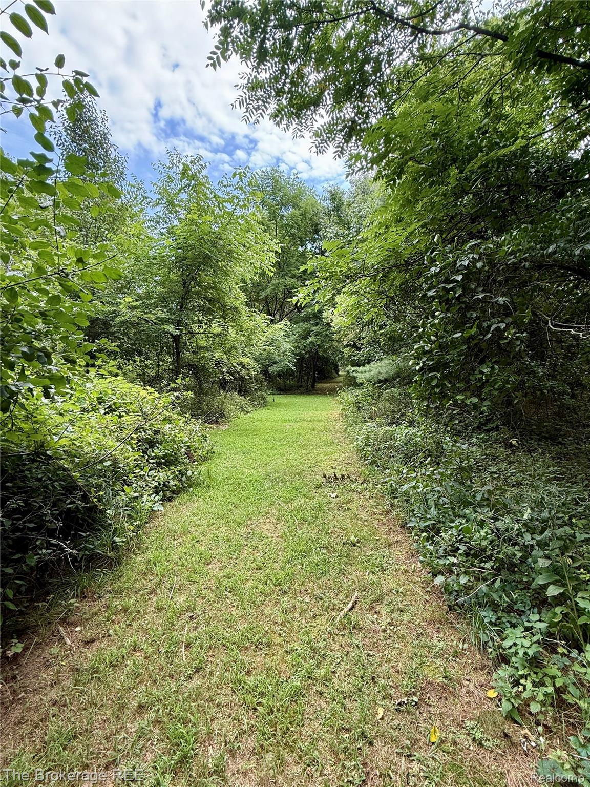 12088 Pinebrook Lane Green Oak Township MI 48178