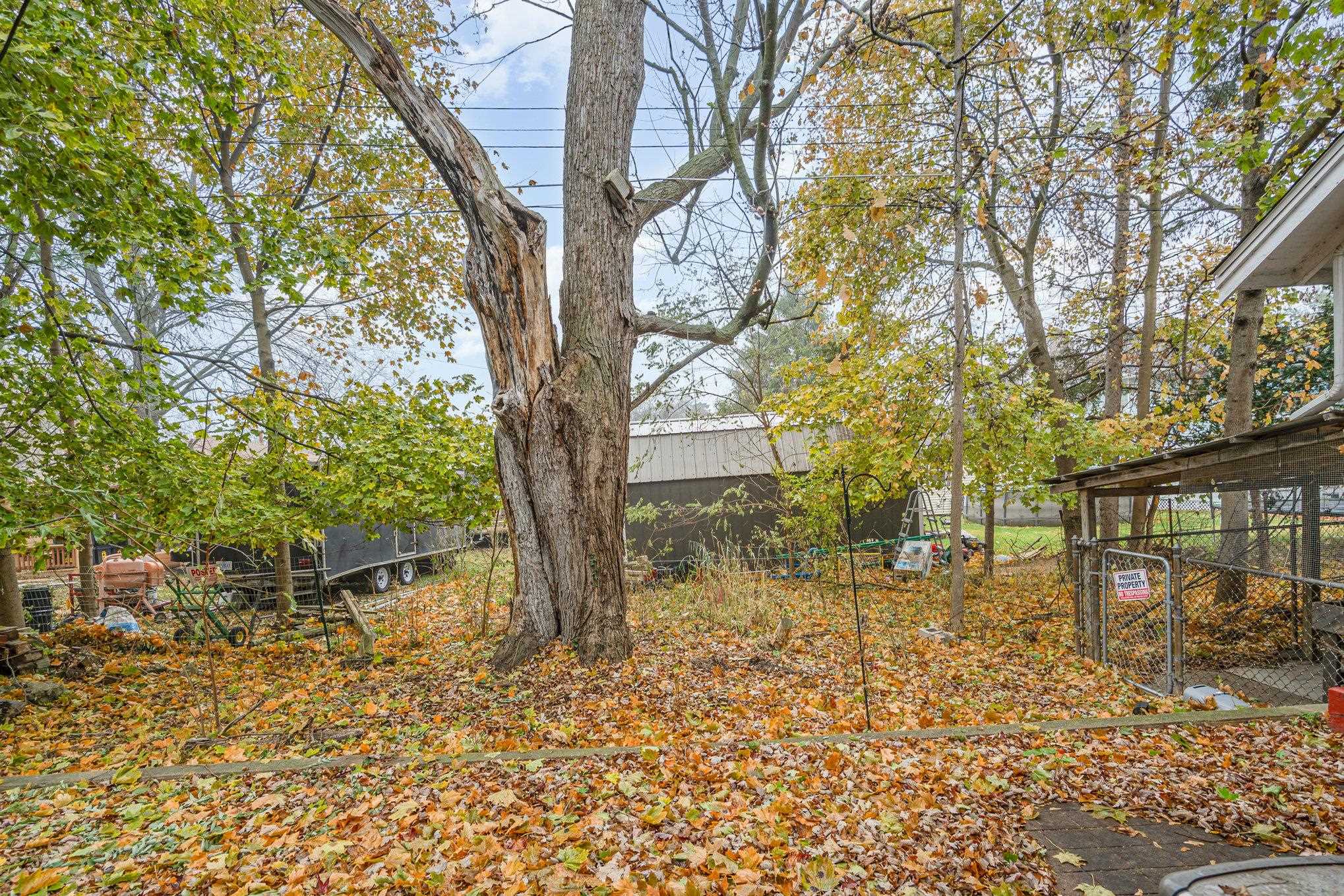 739 California Street Alma City MI 48801