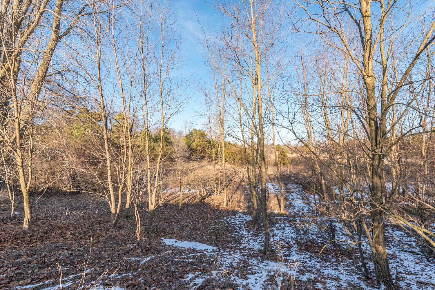 19820 Ivey Road Sylvan Township MI 48118