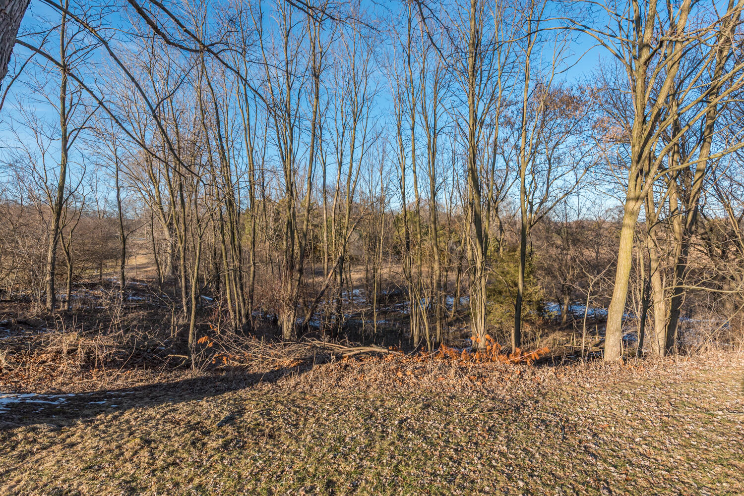 19820 Ivey Road Sylvan Township MI 48118