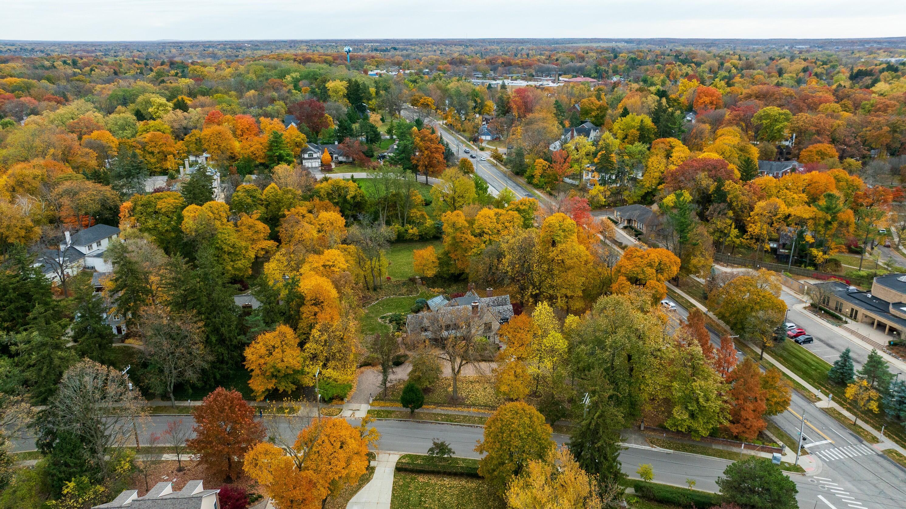 2010 Devonshire Road Ann Arbor City MI 48104