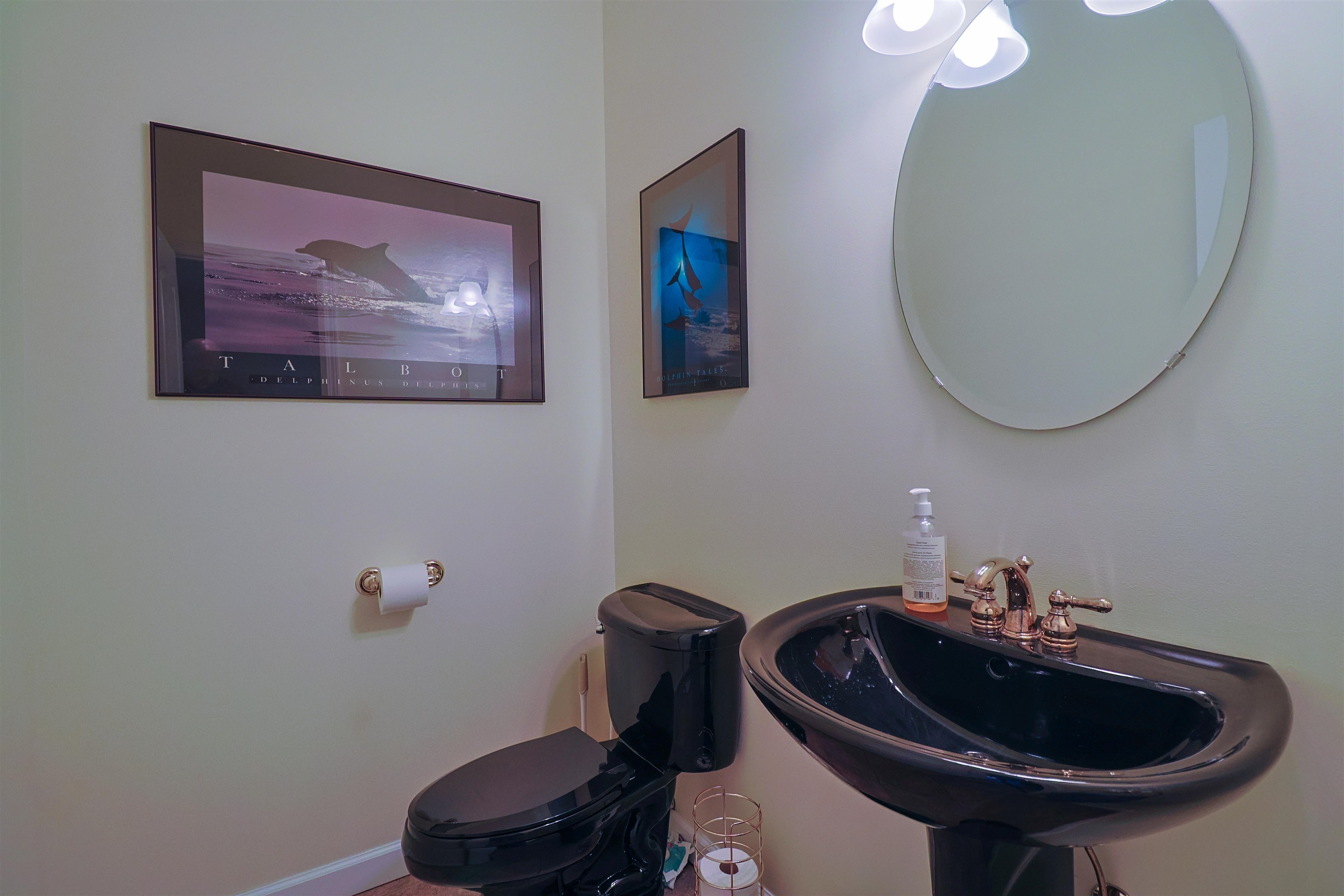 956 E Remus Road Union Charter Township MI 48858