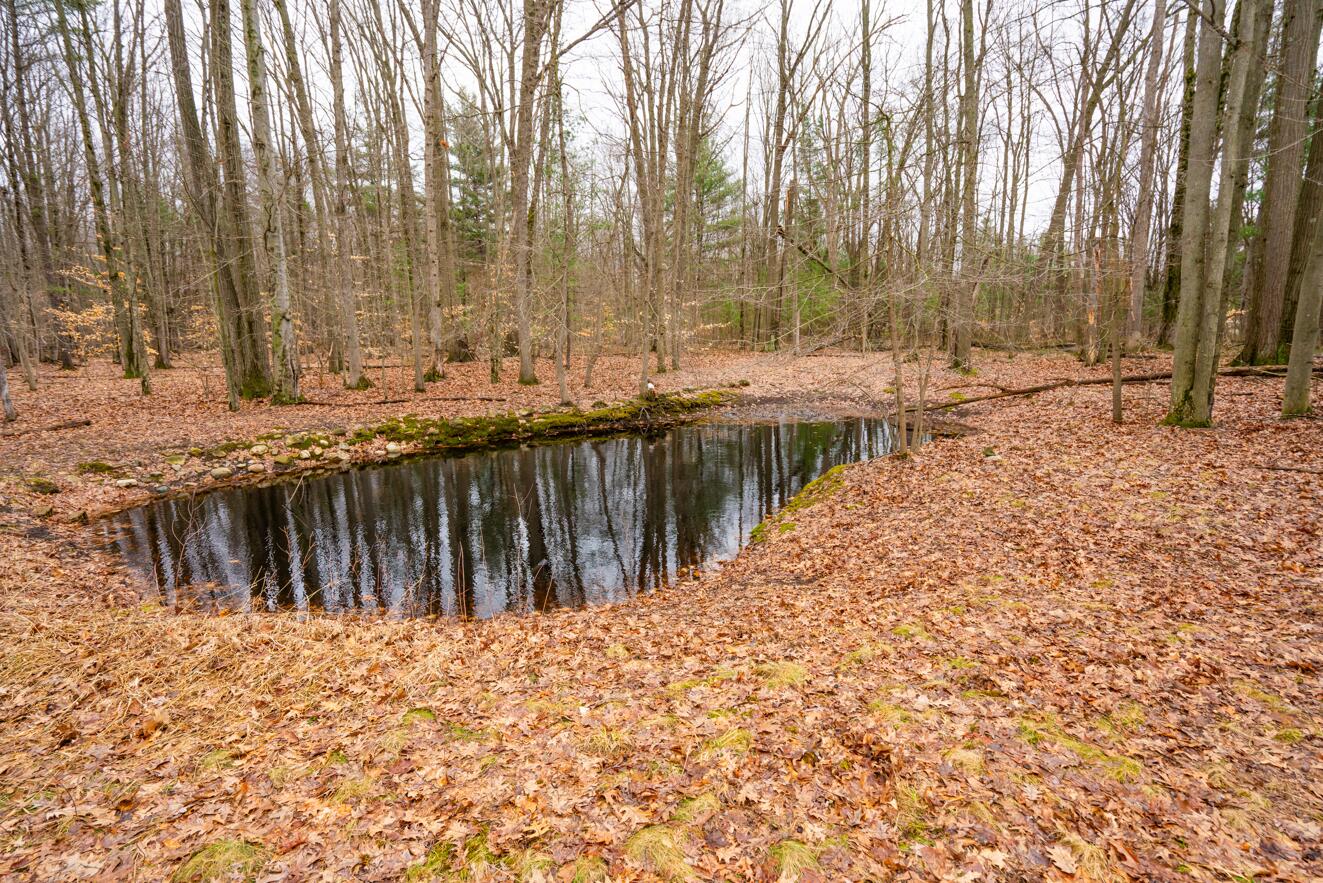 4202 E Pontaluna Road Fruitport Charter Township MI 49415