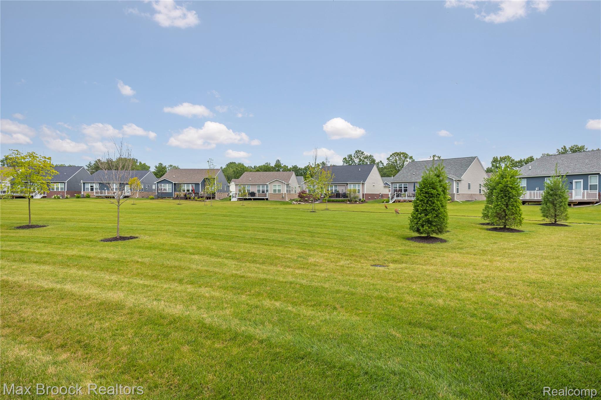 30153 Turtle Creek Circle Lyon Charter Township MI 48165