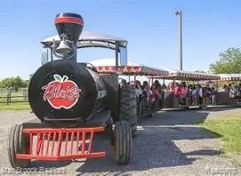 30153 Turtle Creek Circle Lyon Charter Township MI 48165