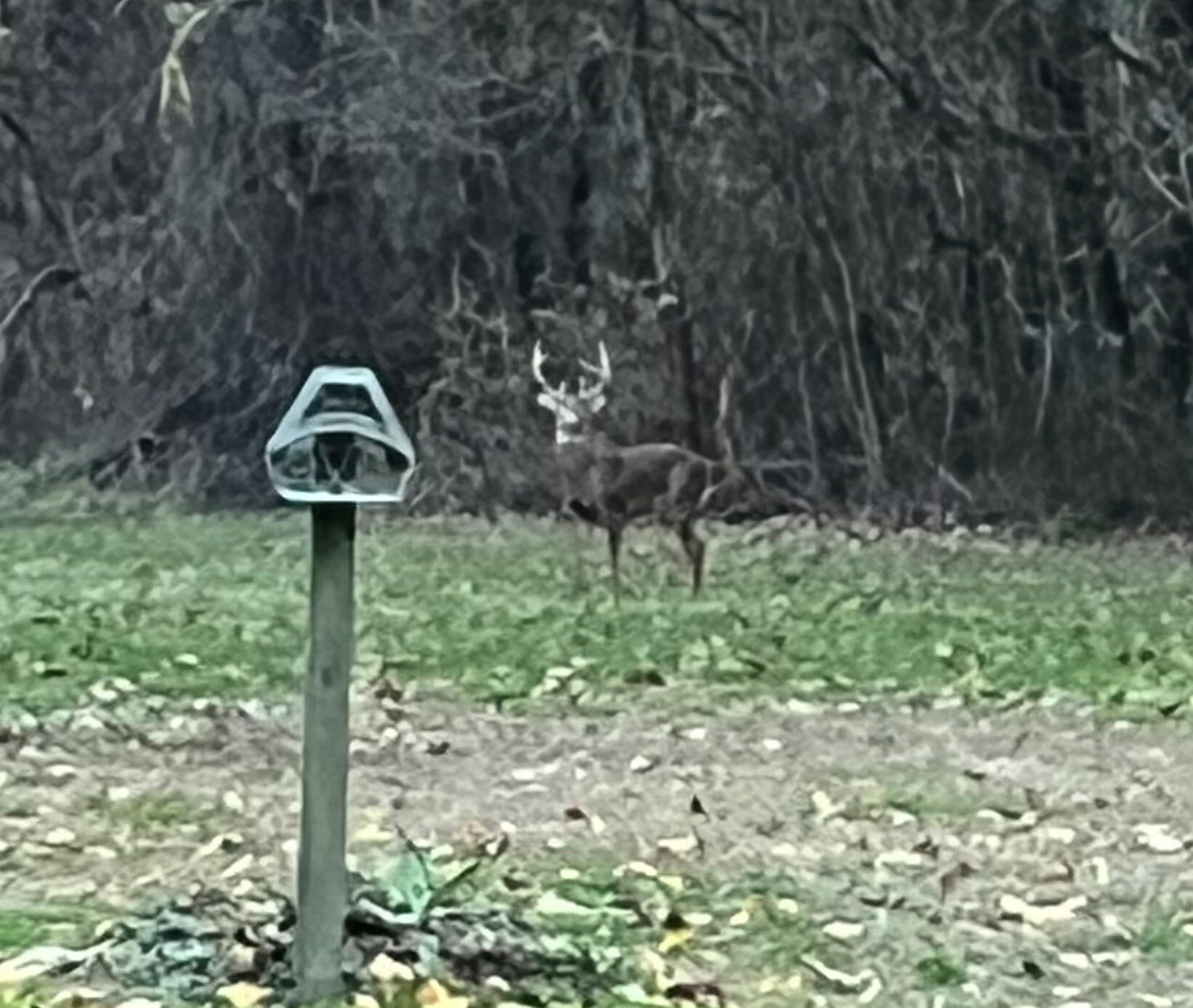 27890 S D Drive S Albion Township MI 49224