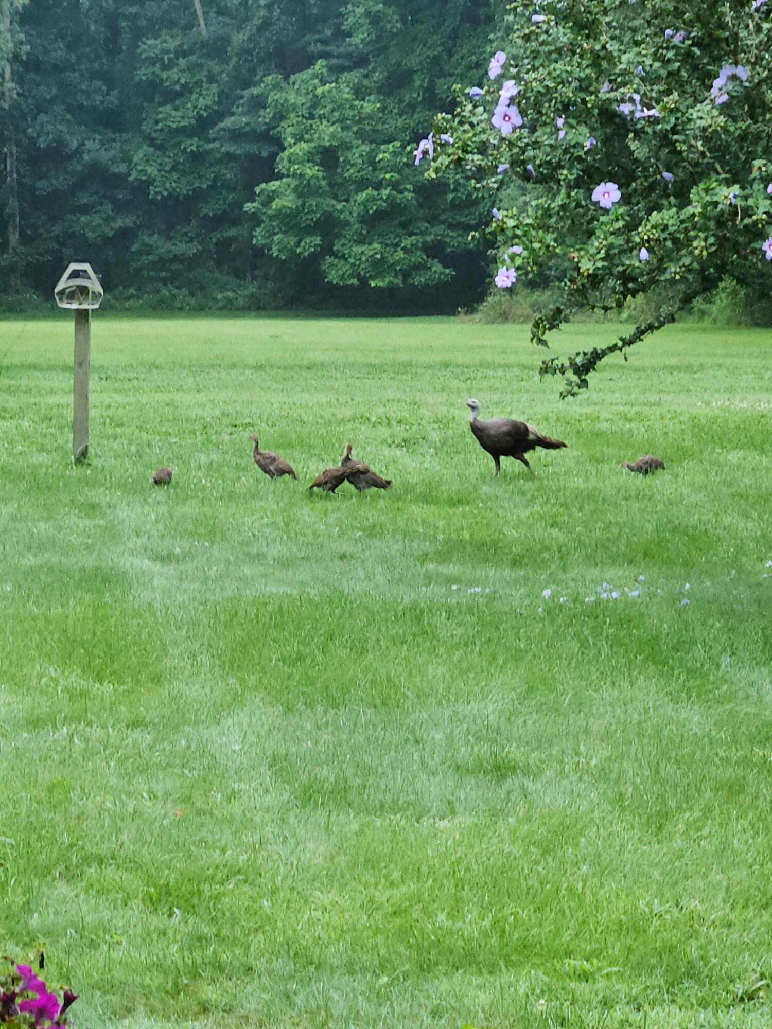 27890 S D Drive S Albion Township MI 49224