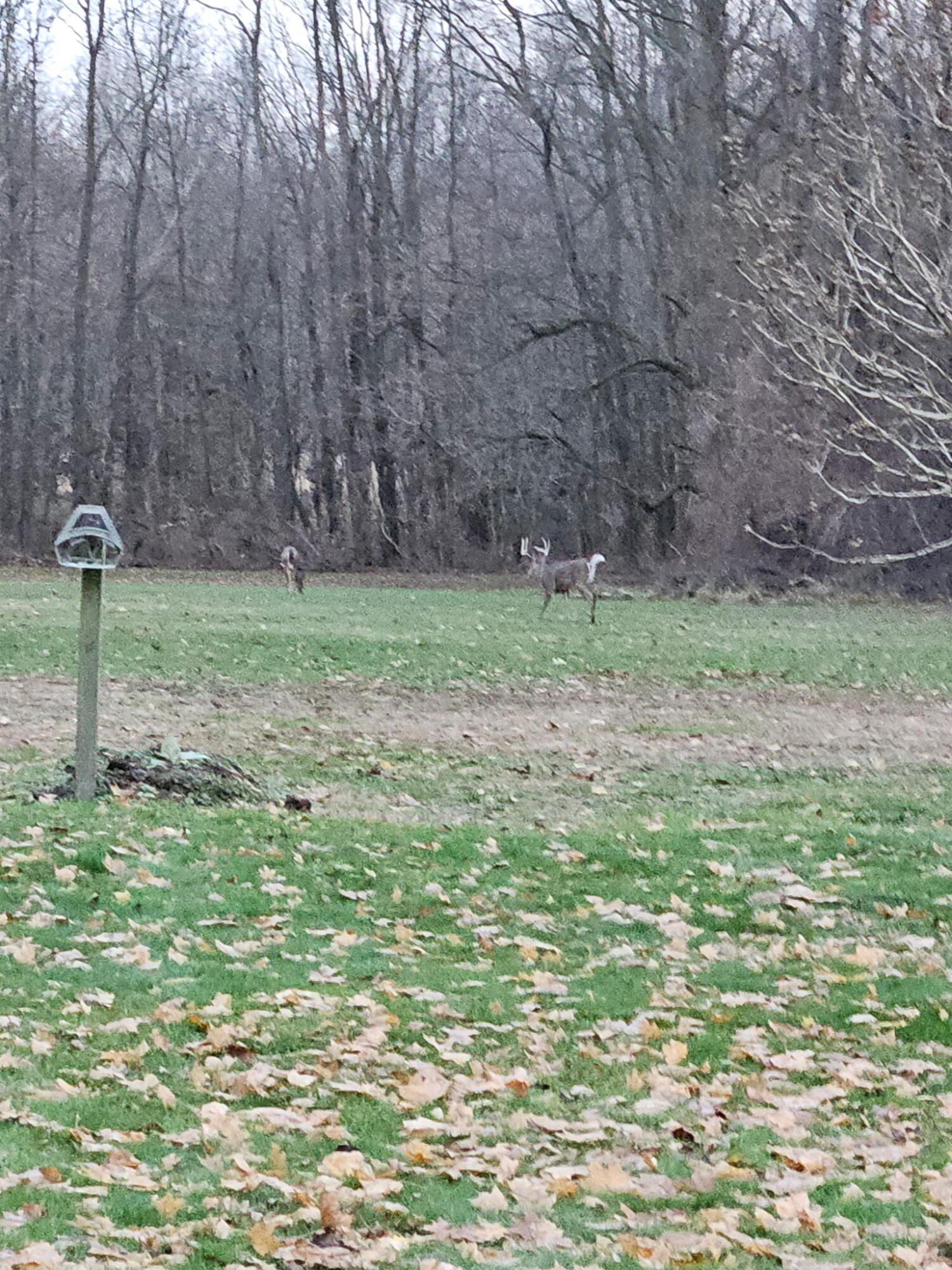 27890 S D Drive S Albion Township MI 49224