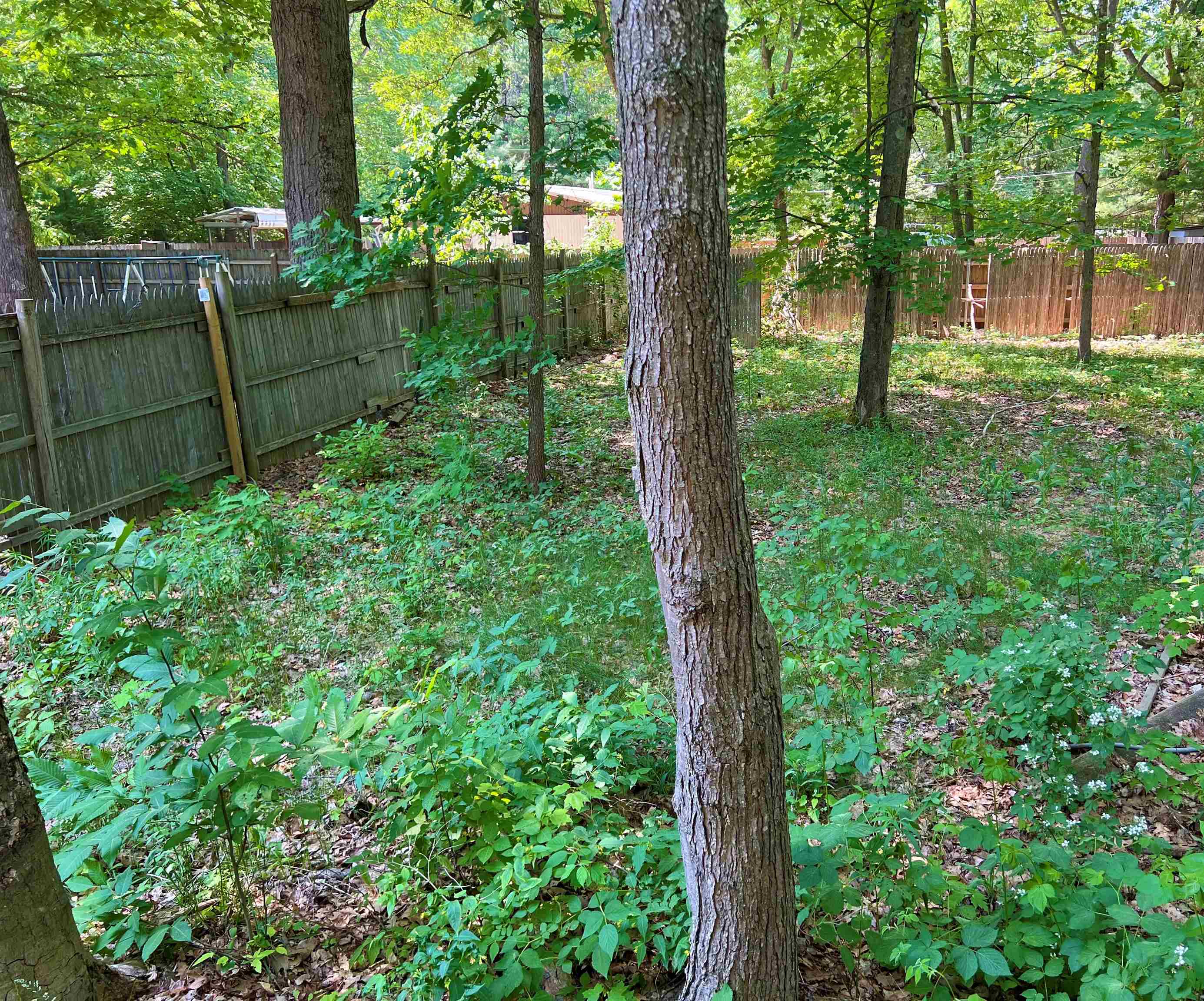 2520 Artist Avenue Green Lake Township MI 49643