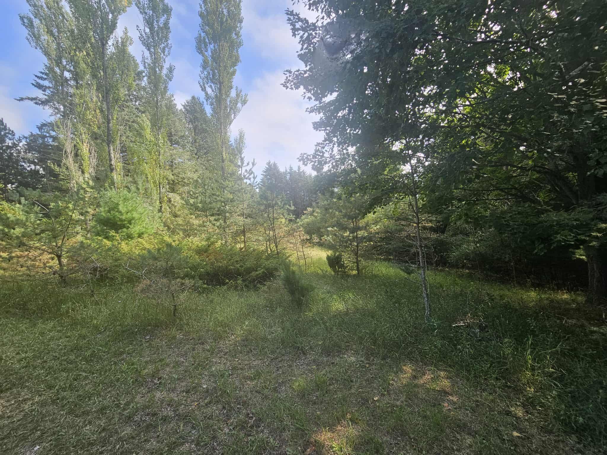 928 Pilgrim Highway Crystal Lake Township MI 49635