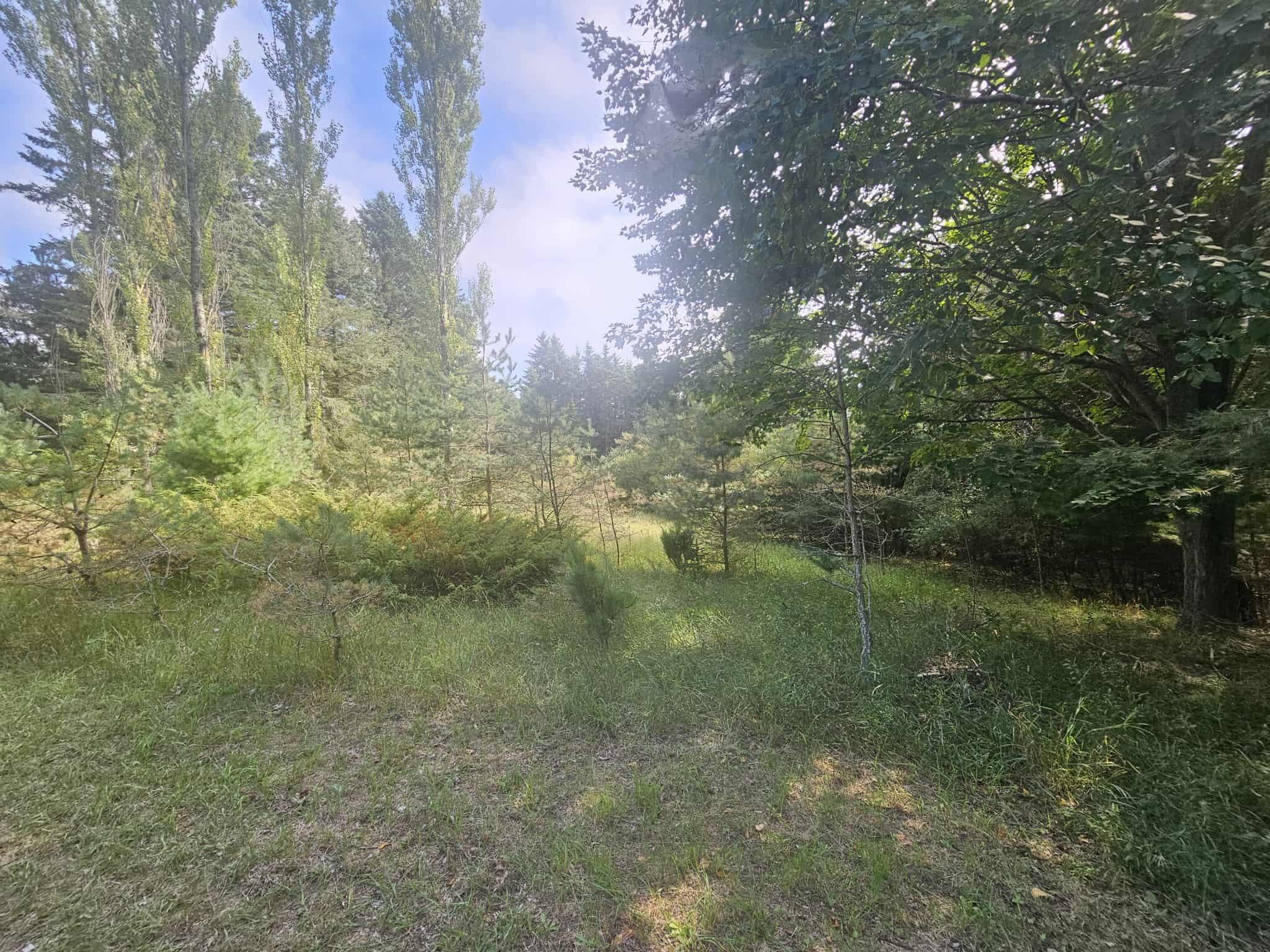 928 Pilgrim Highway Crystal Lake Township MI 49635