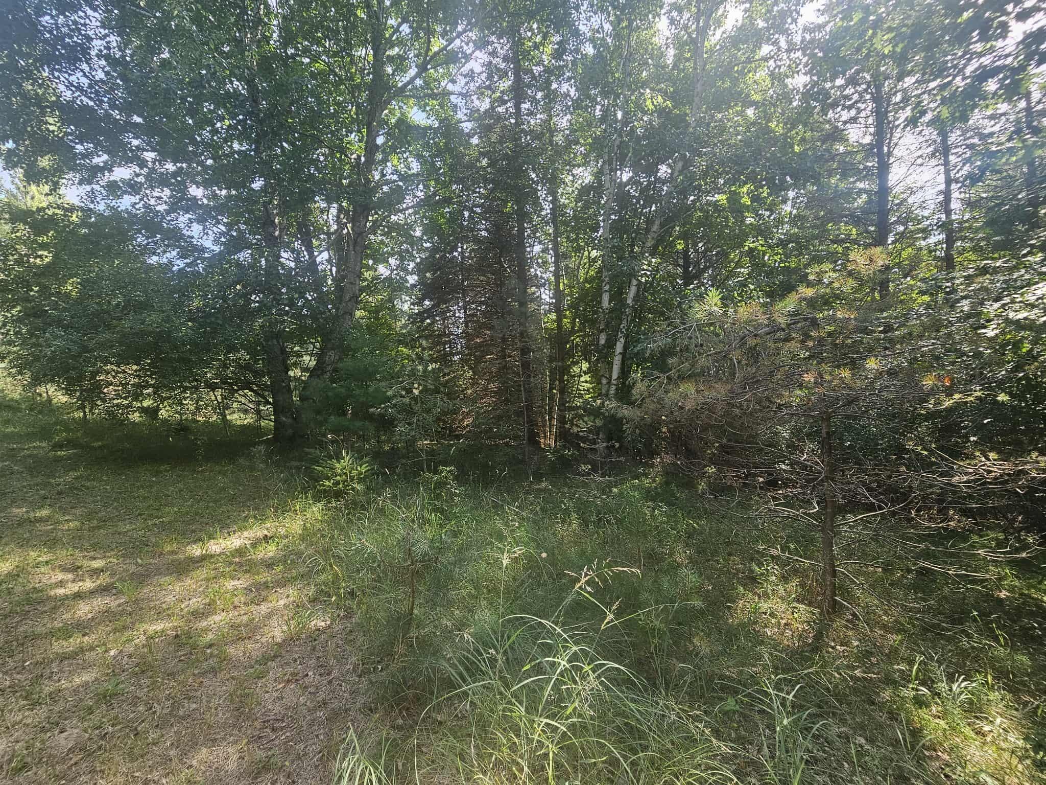 928 Pilgrim Highway Crystal Lake Township MI 49635