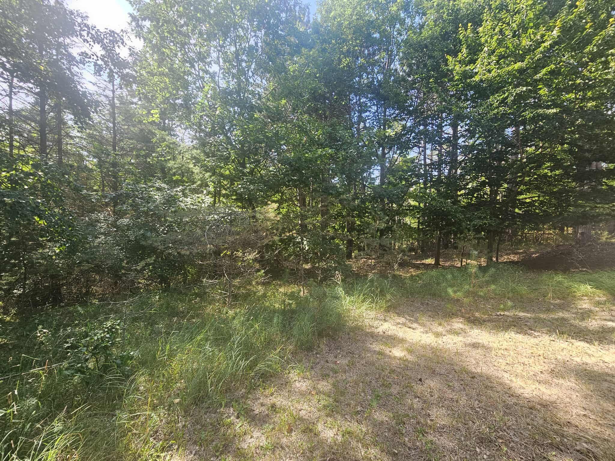 928 Pilgrim Highway Crystal Lake Township MI 49635