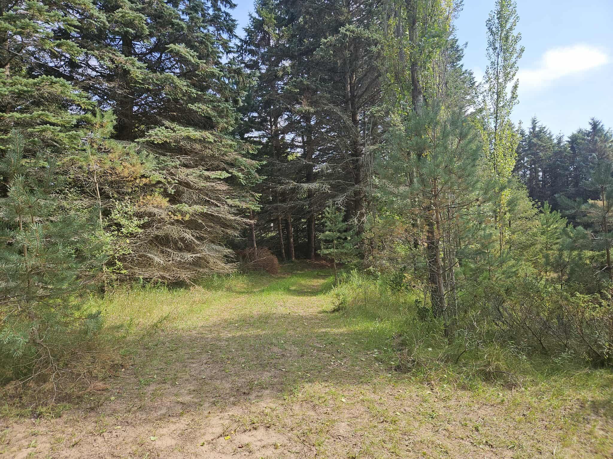 928 Pilgrim Highway Crystal Lake Township MI 49635