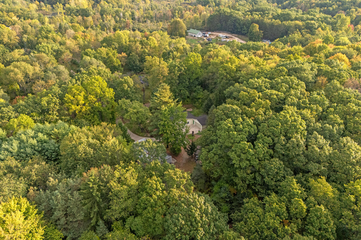 9300 Conservation Street NE Ada Township MI 49301