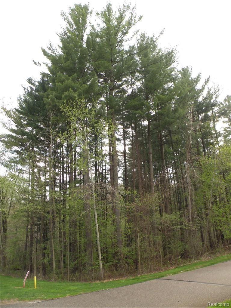 Lot 37 Alta Vista Drive Hamburg Township MI 48169