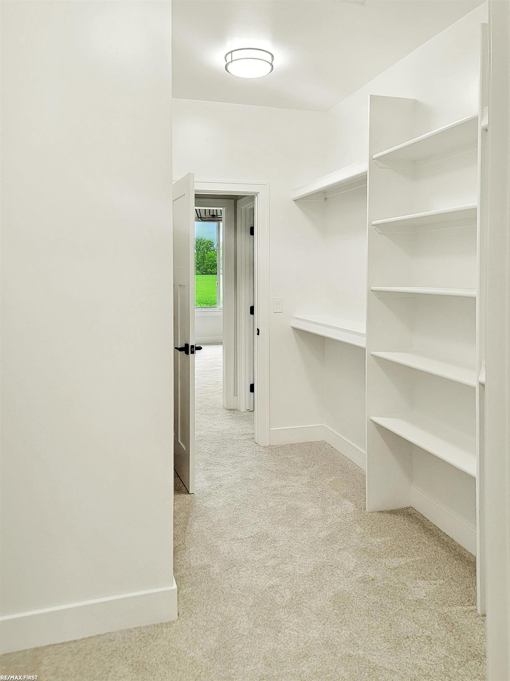 00000 Quail Run Drive Almont Township MI 48003