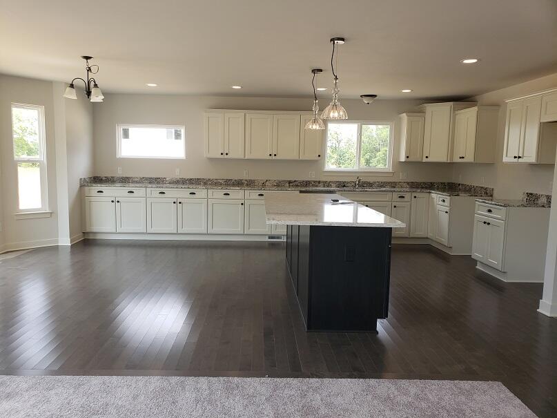 11655 Hillside Drive Dexter Township MI 48130