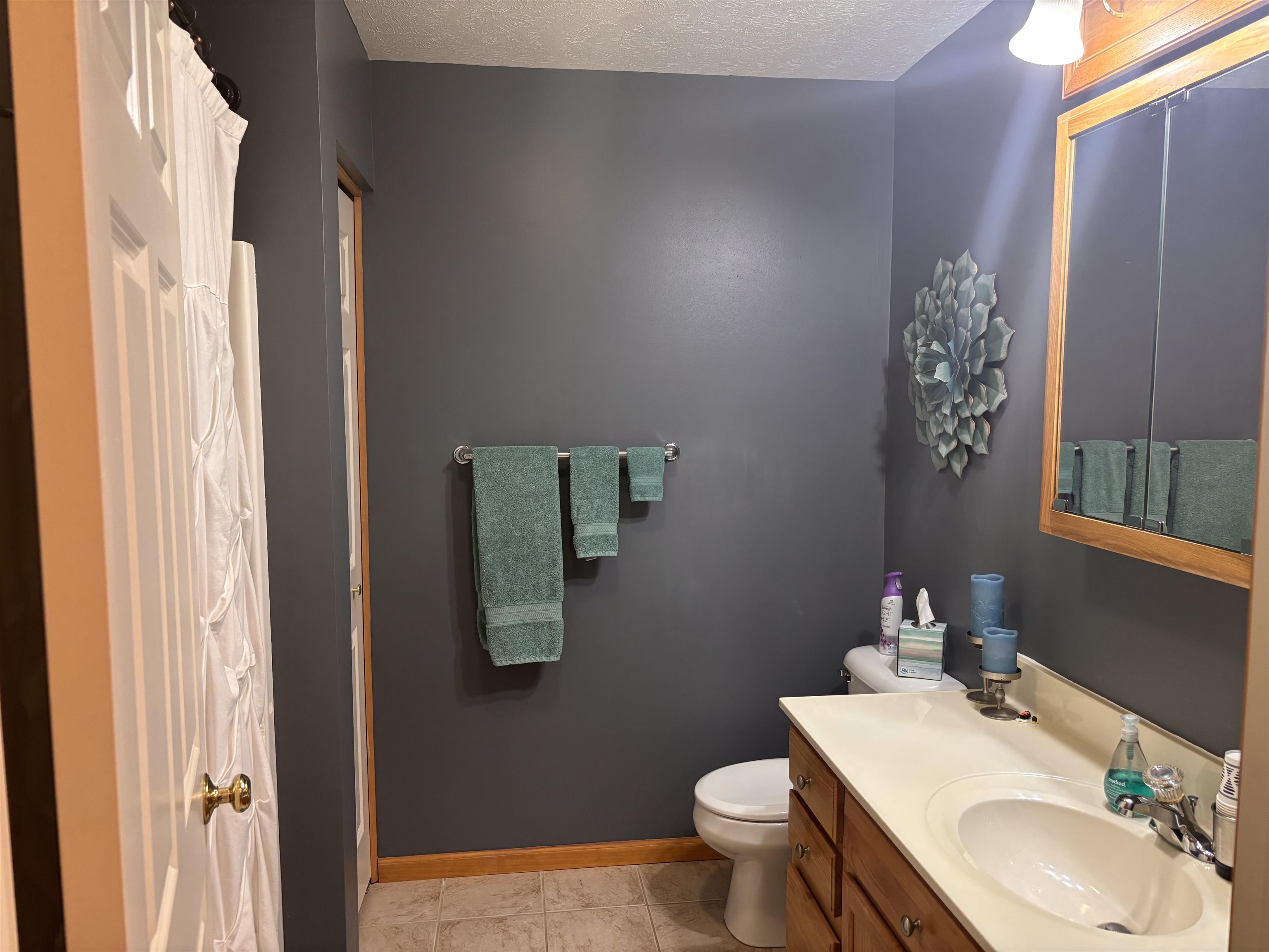 8450 Bent Pine Drive Almira Township MI 49650