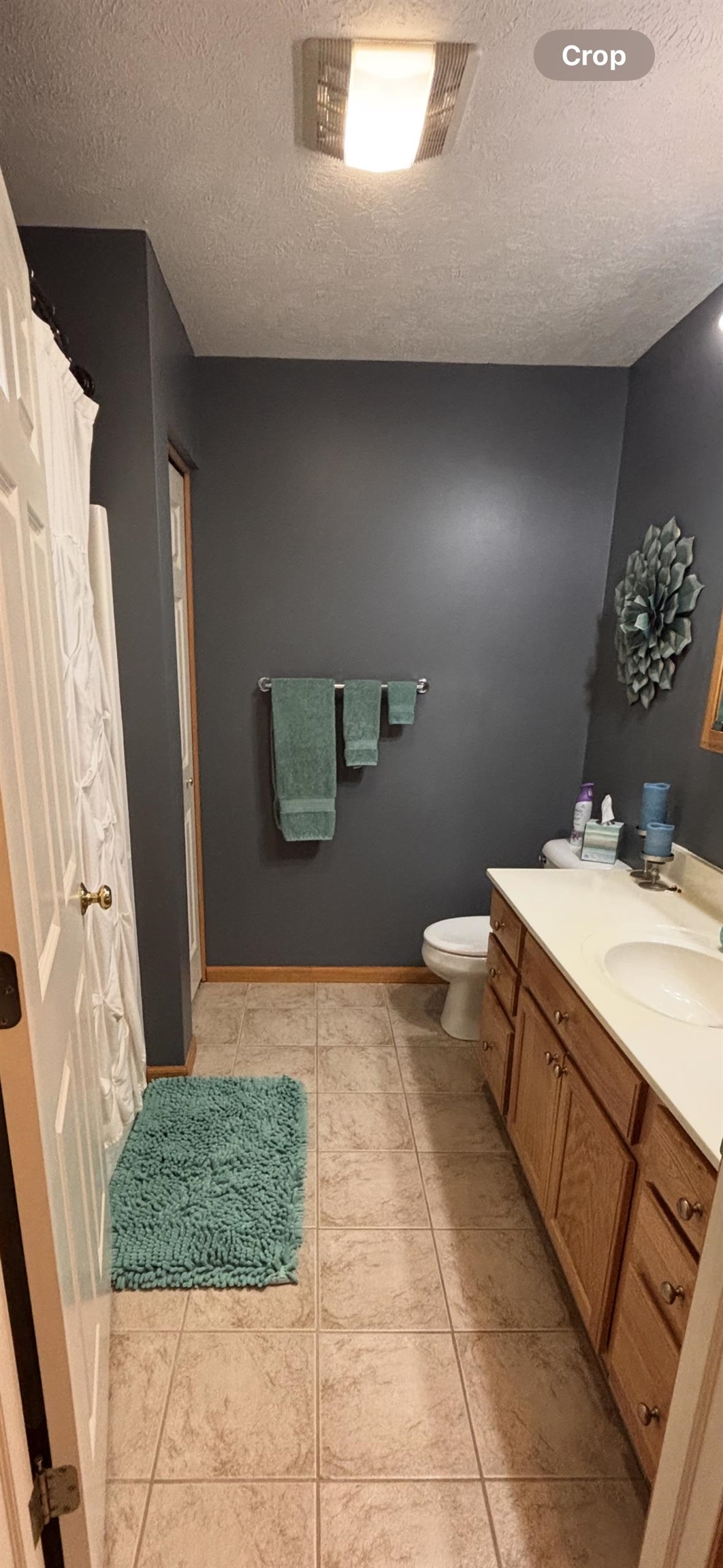 8450 Bent Pine Drive Almira Township MI 49650