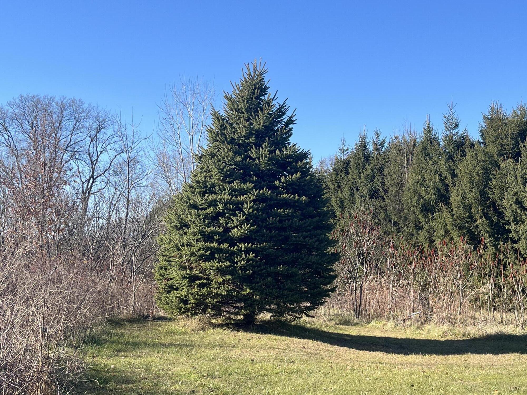 69312 Teter Trail Mason Township MI 49031