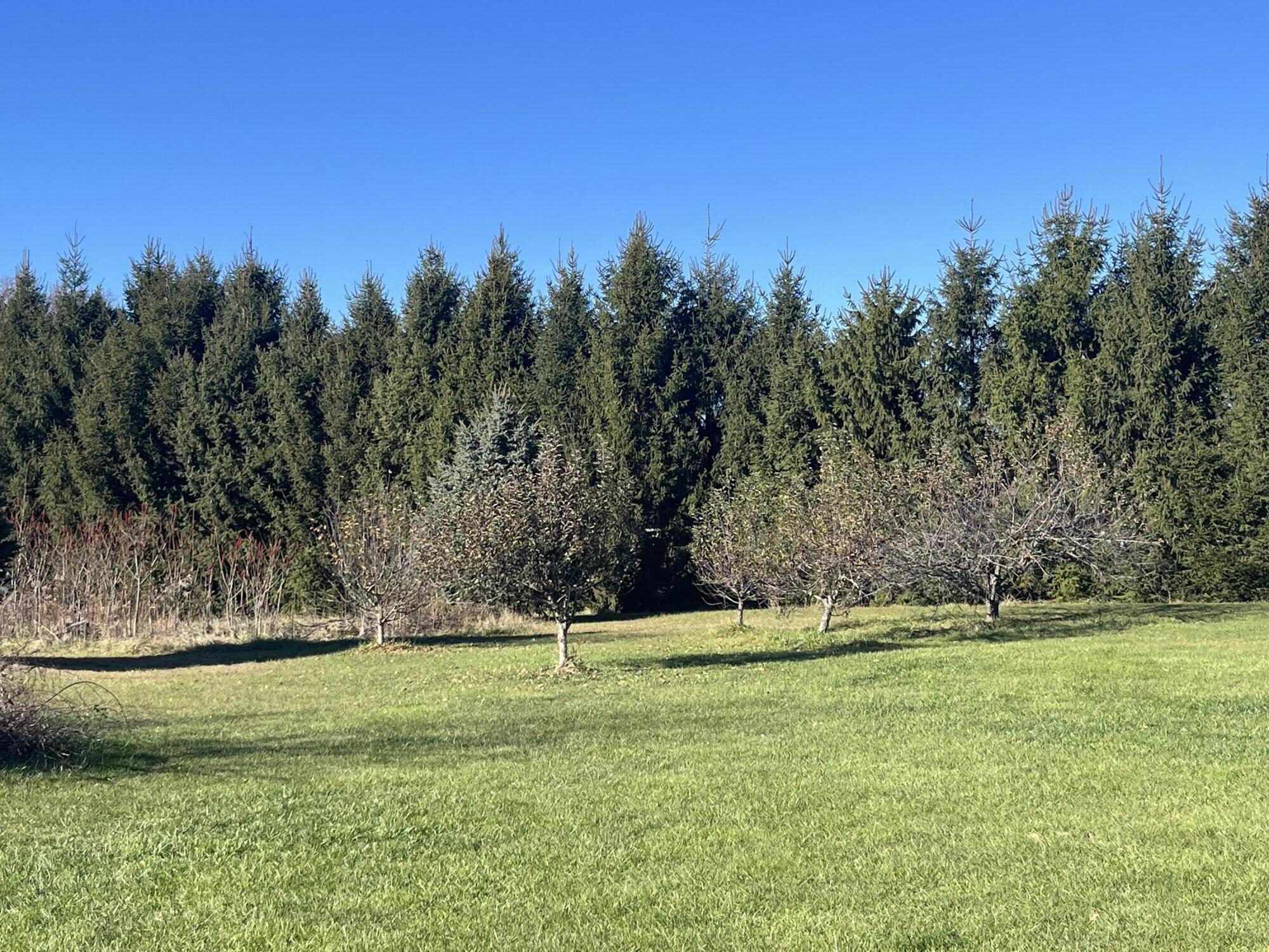 69312 Teter Trail Mason Township MI 49031