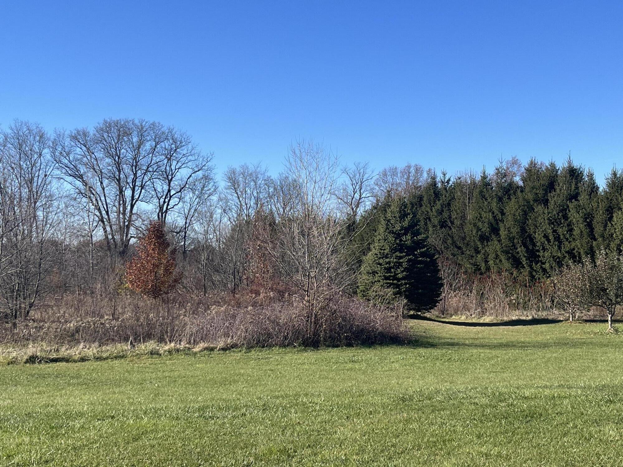 69312 Teter Trail Mason Township MI 49031