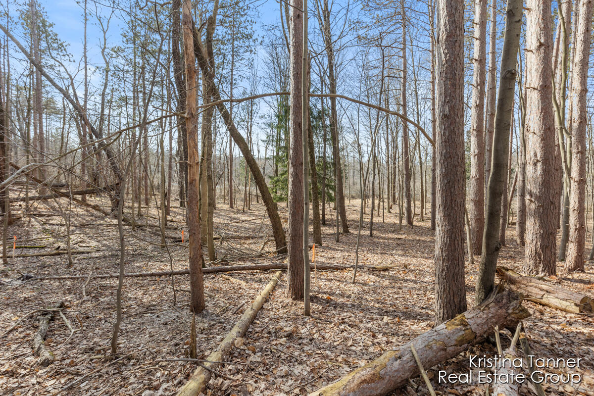 742 Honey Creek Ada Township MI 49301