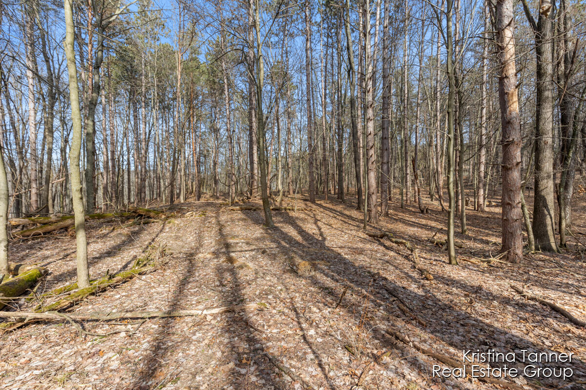 742 Honey Creek Ada Township MI 49301